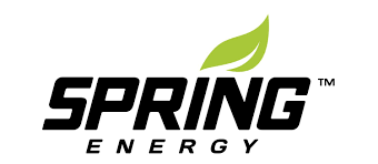 Spring Energy logo featuring bold black text and a vibrant green leaf icon symbolizing natural vitality.