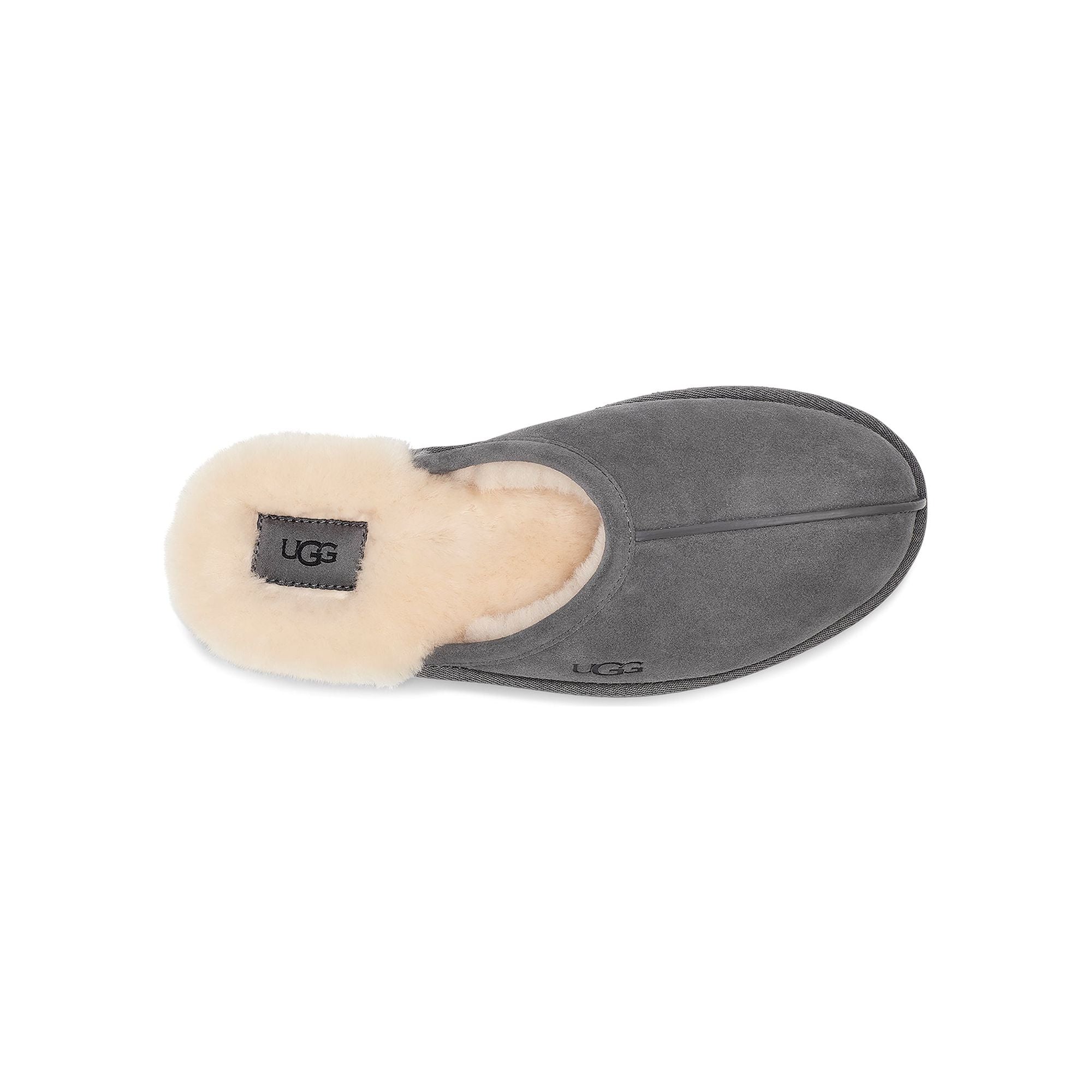 UGG Men's Scuff in Dark Grey Men's Footwear
