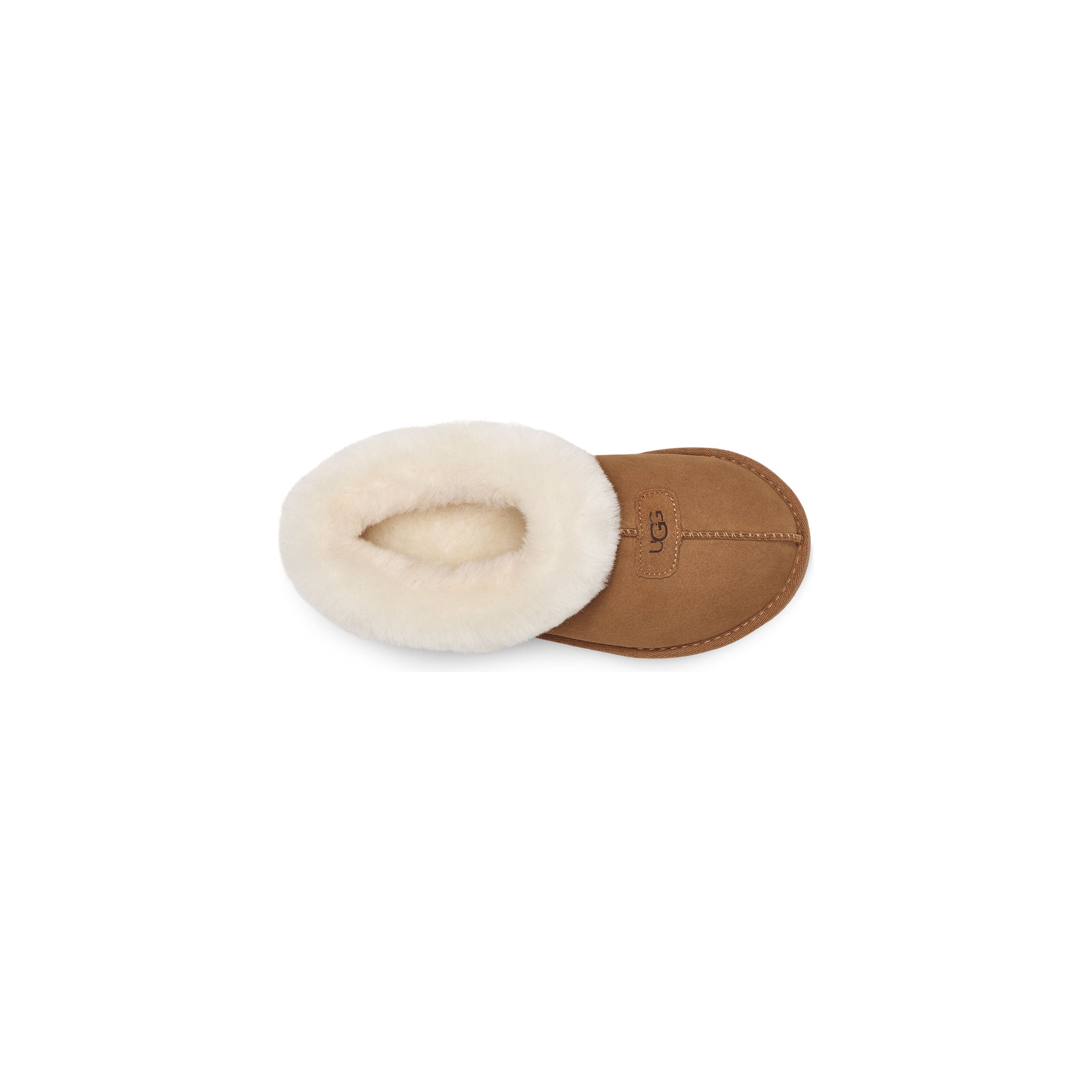 UGG Women's Tazzette in Chestnut Women's Footwear
