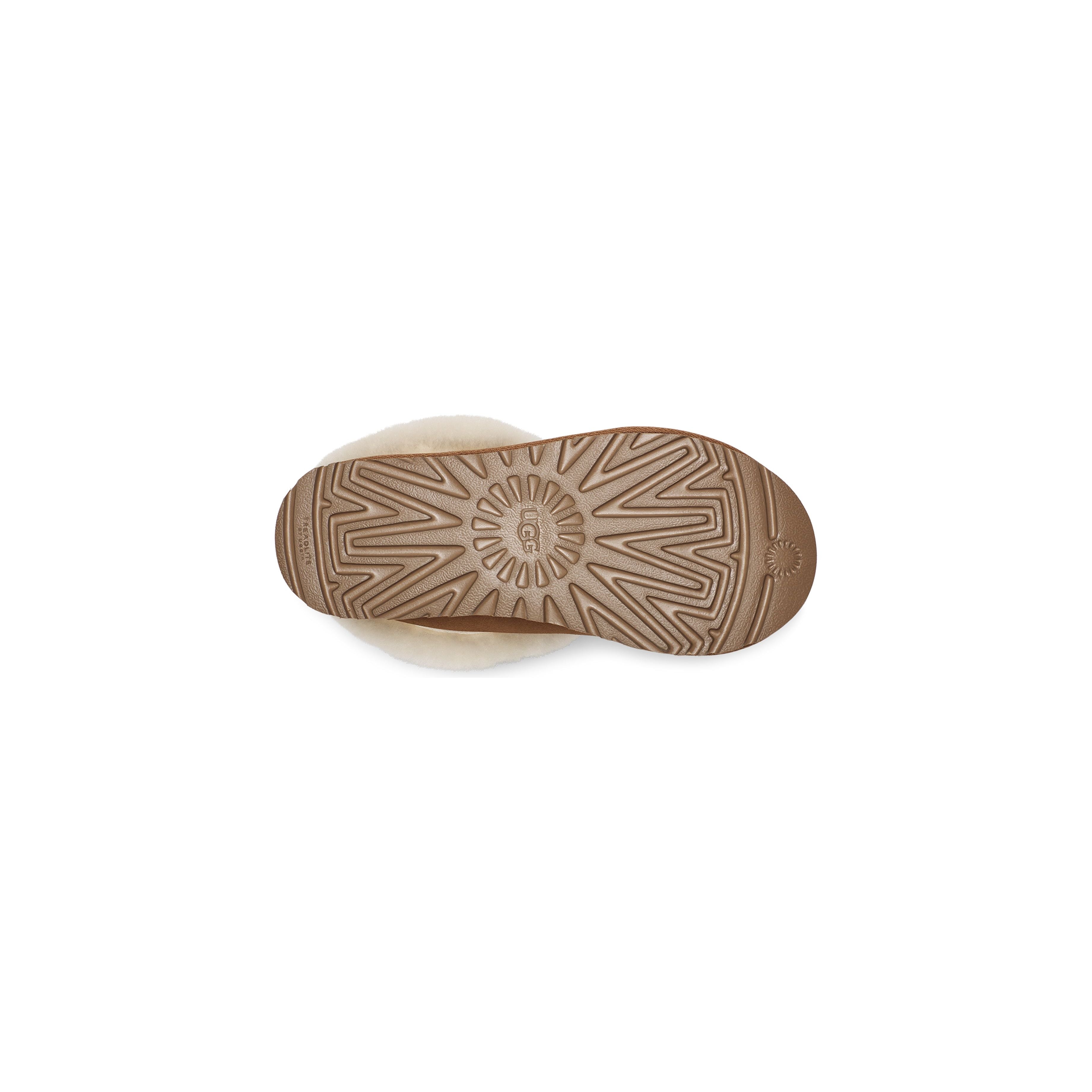 UGG Women's Tazzette in Chestnut Women's Footwear