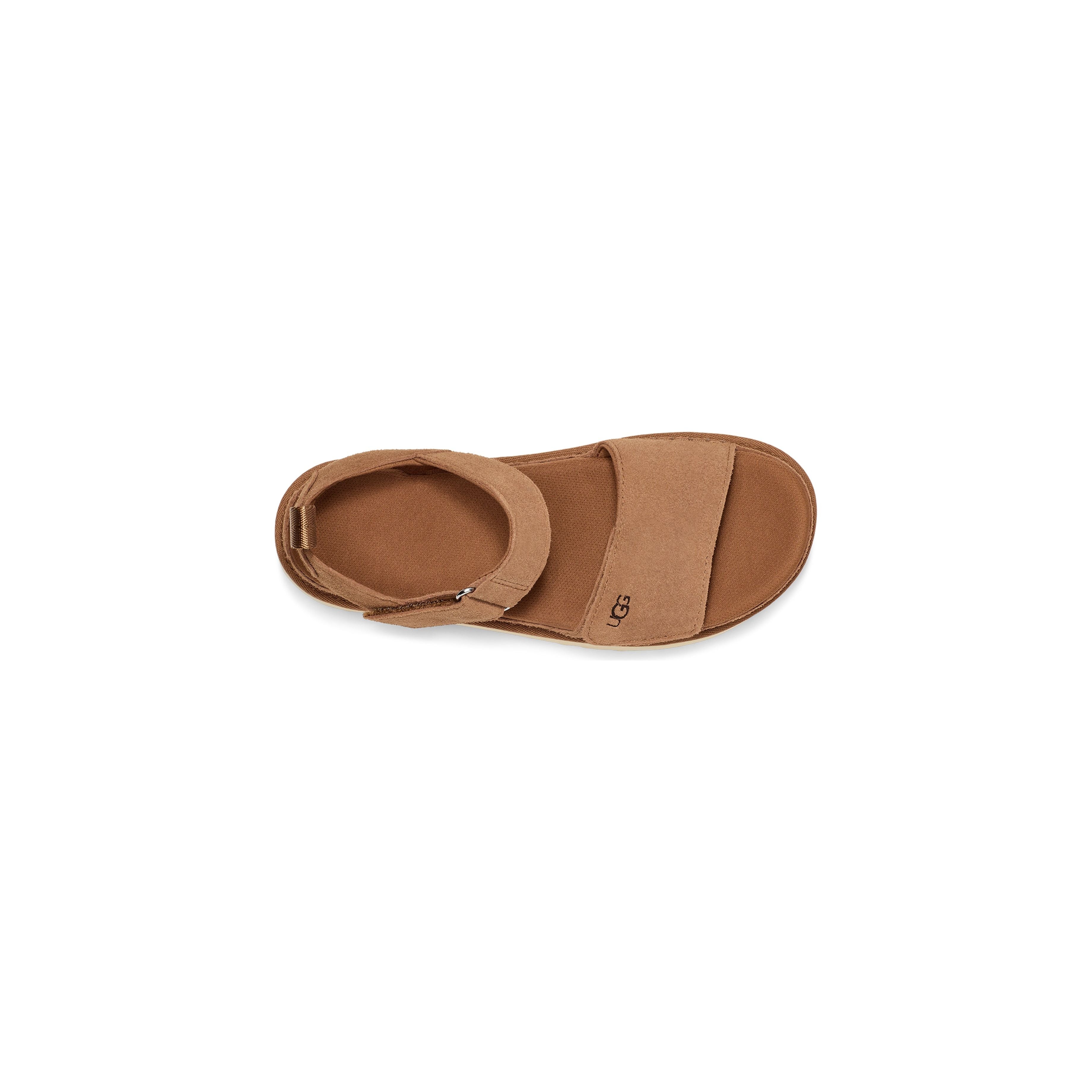 #color_chestnut