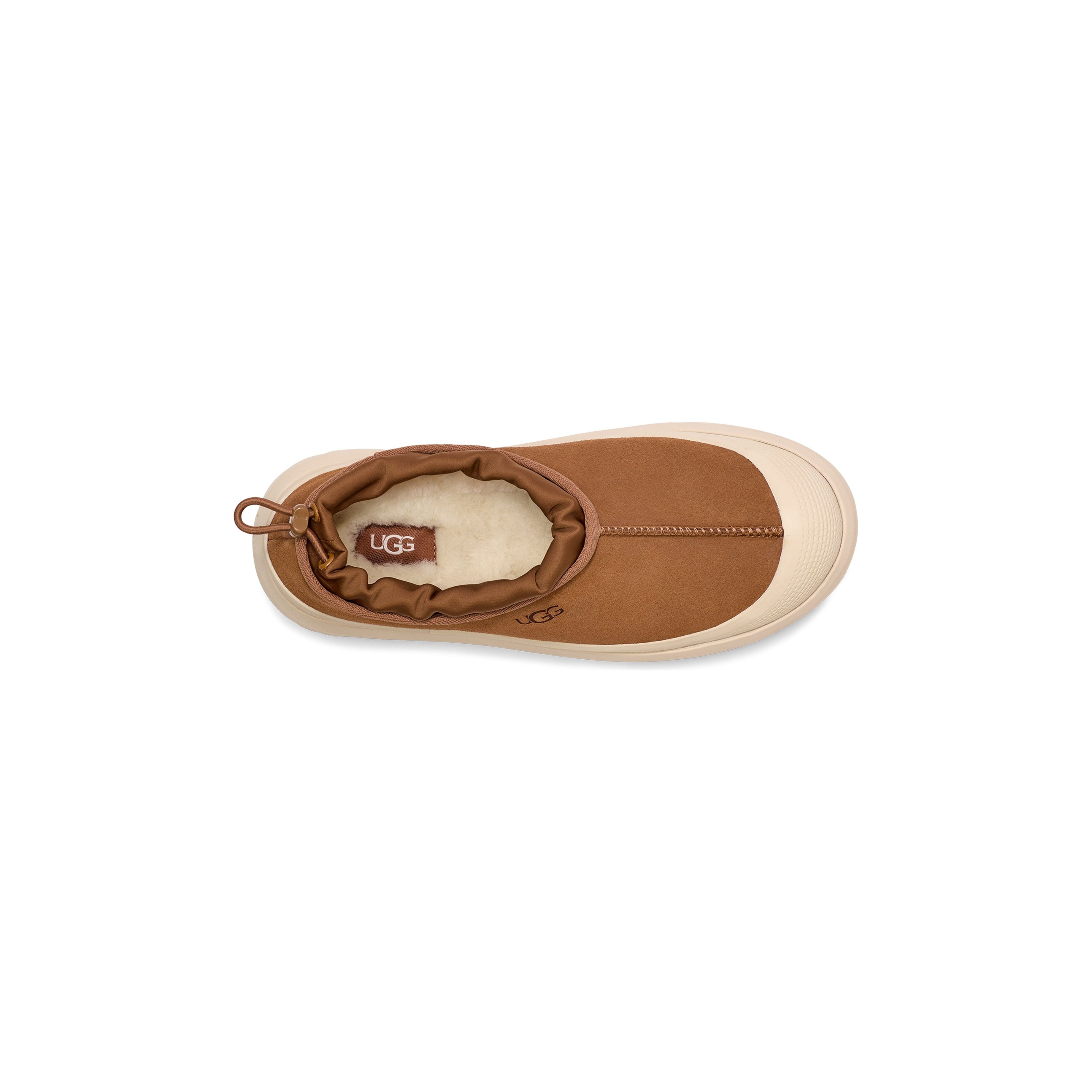 UGG Men's Tasman Weather Hybrid in Chestnut Whitecap Men's Footwear