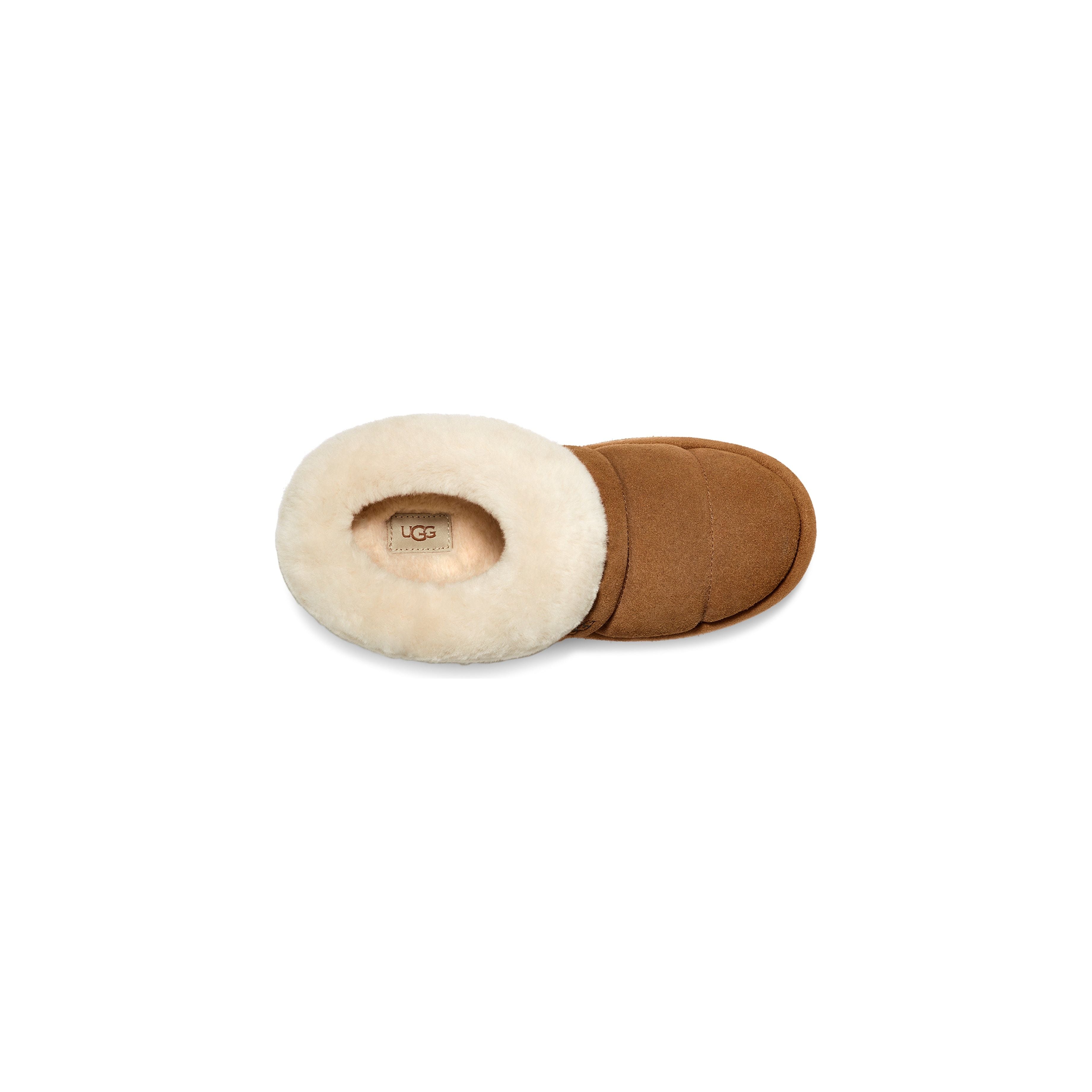 UGG Women's Tazzlita in Chestnut Women's Footwear