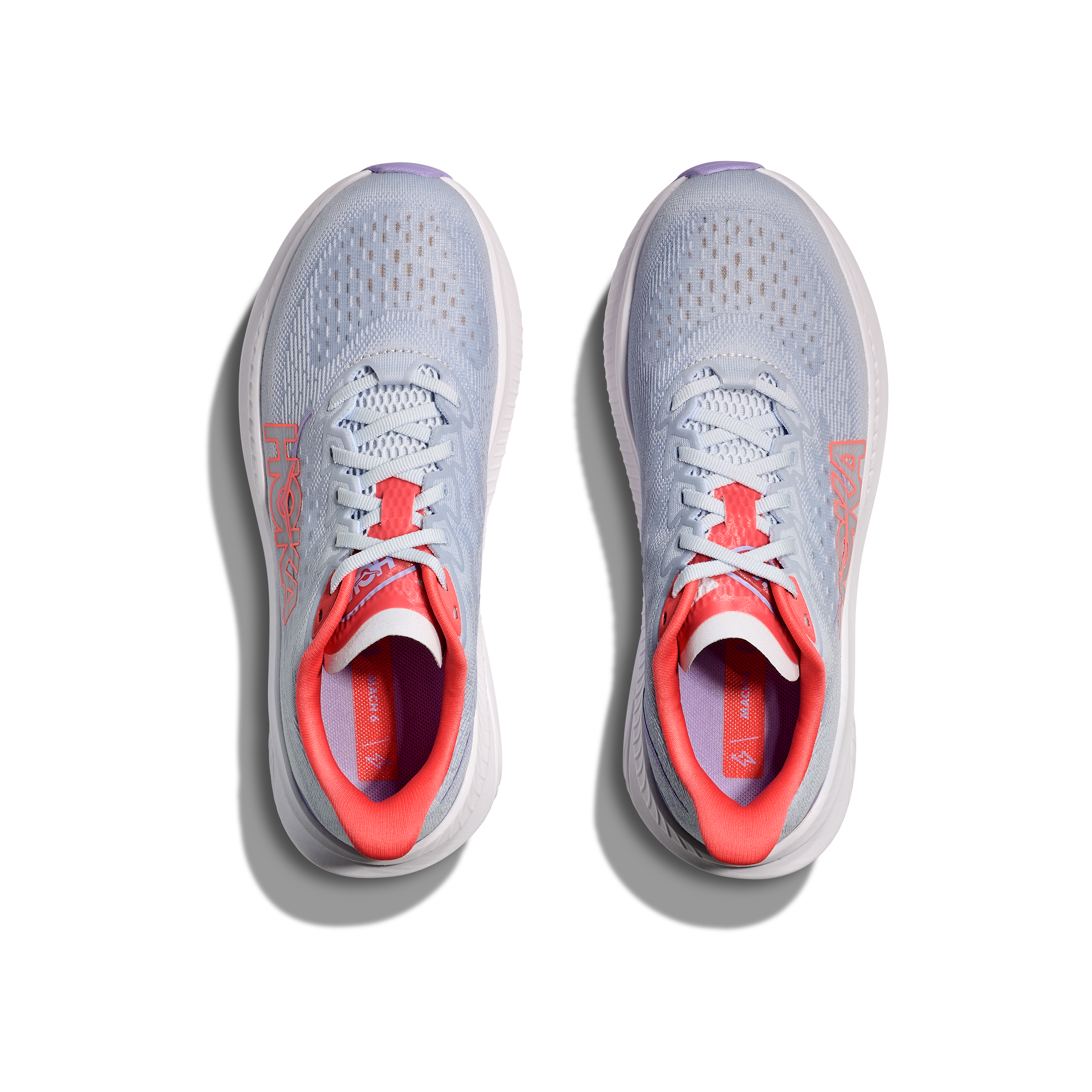 #color_pale-dusk-gull