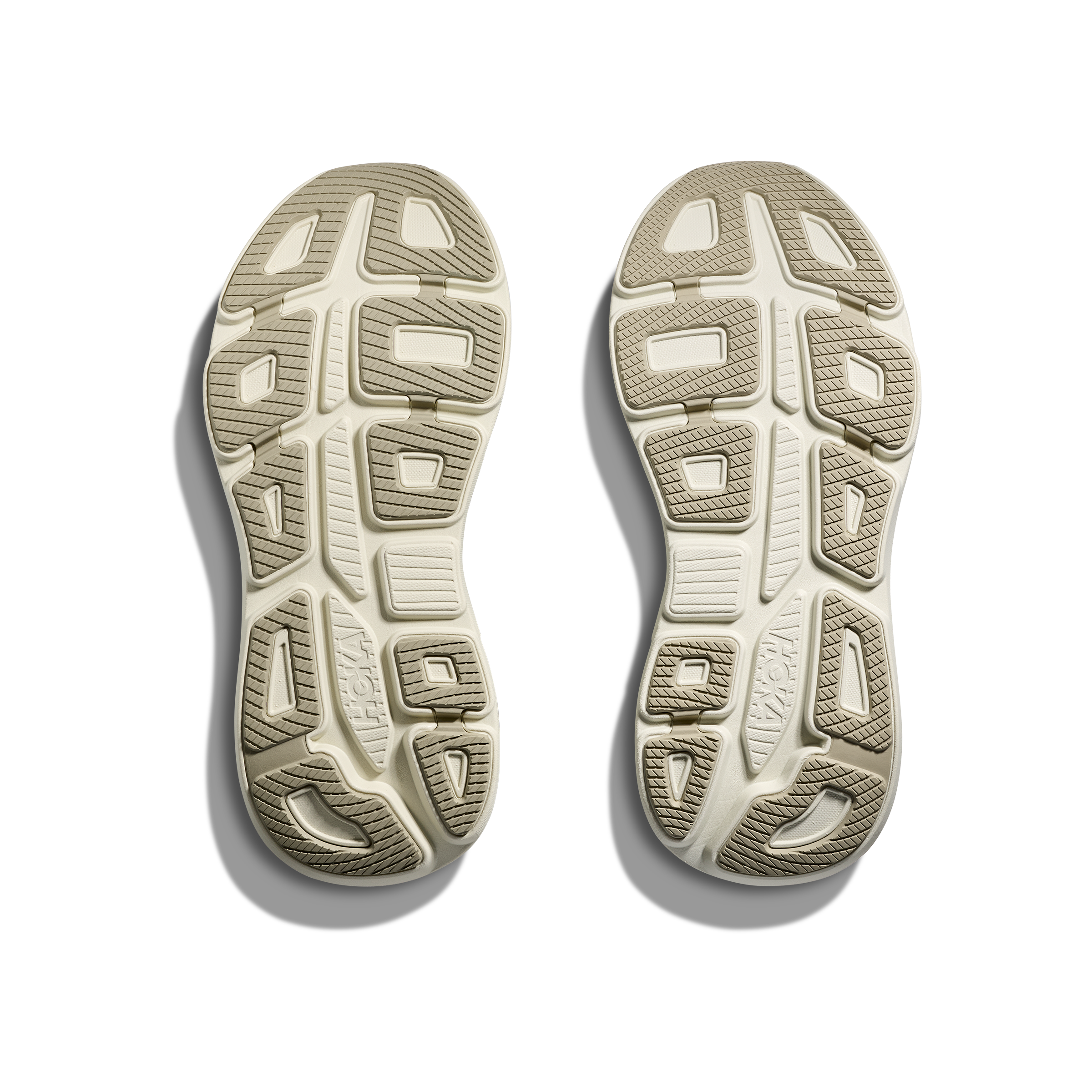 #color_fern-truffle-salt