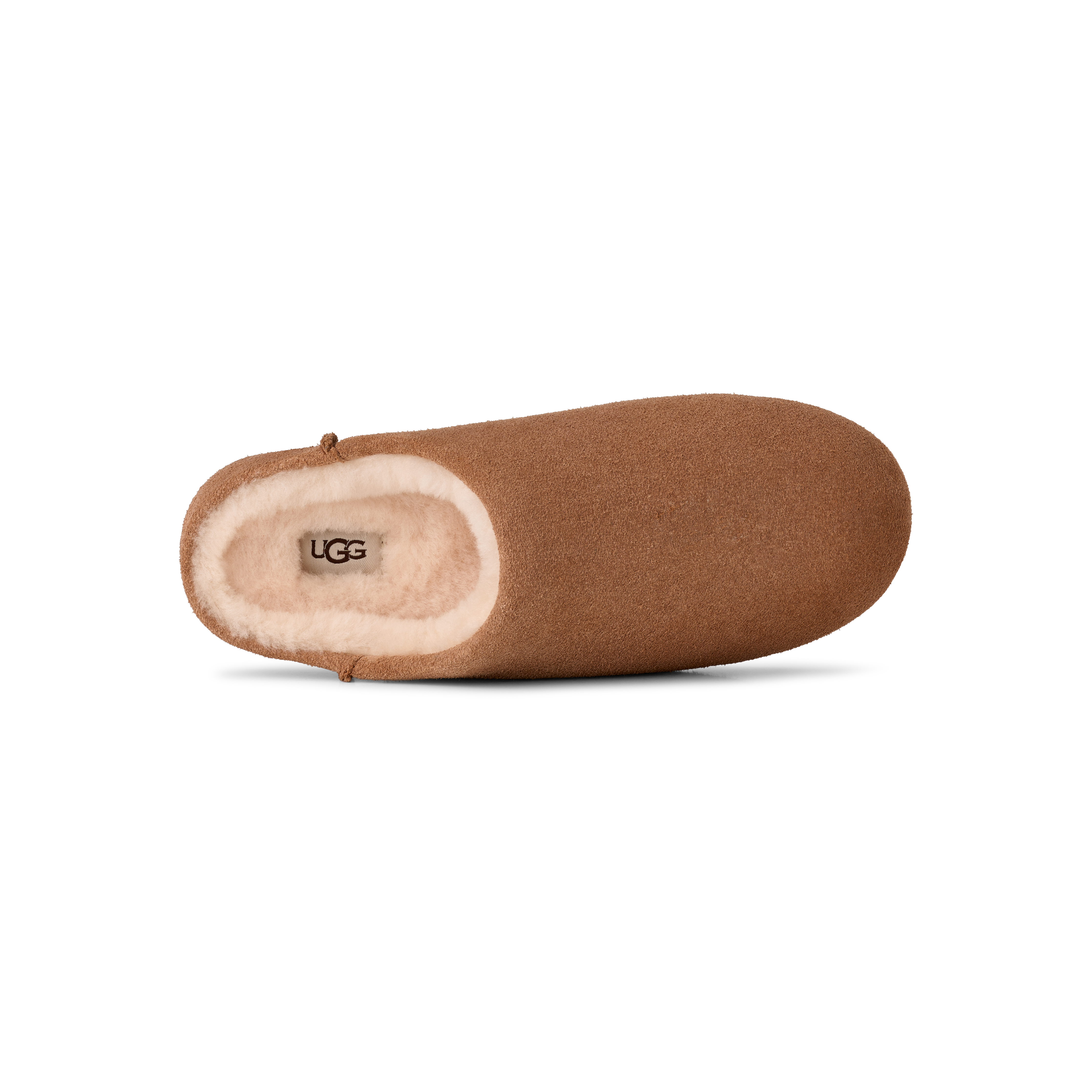 #color_chestnut