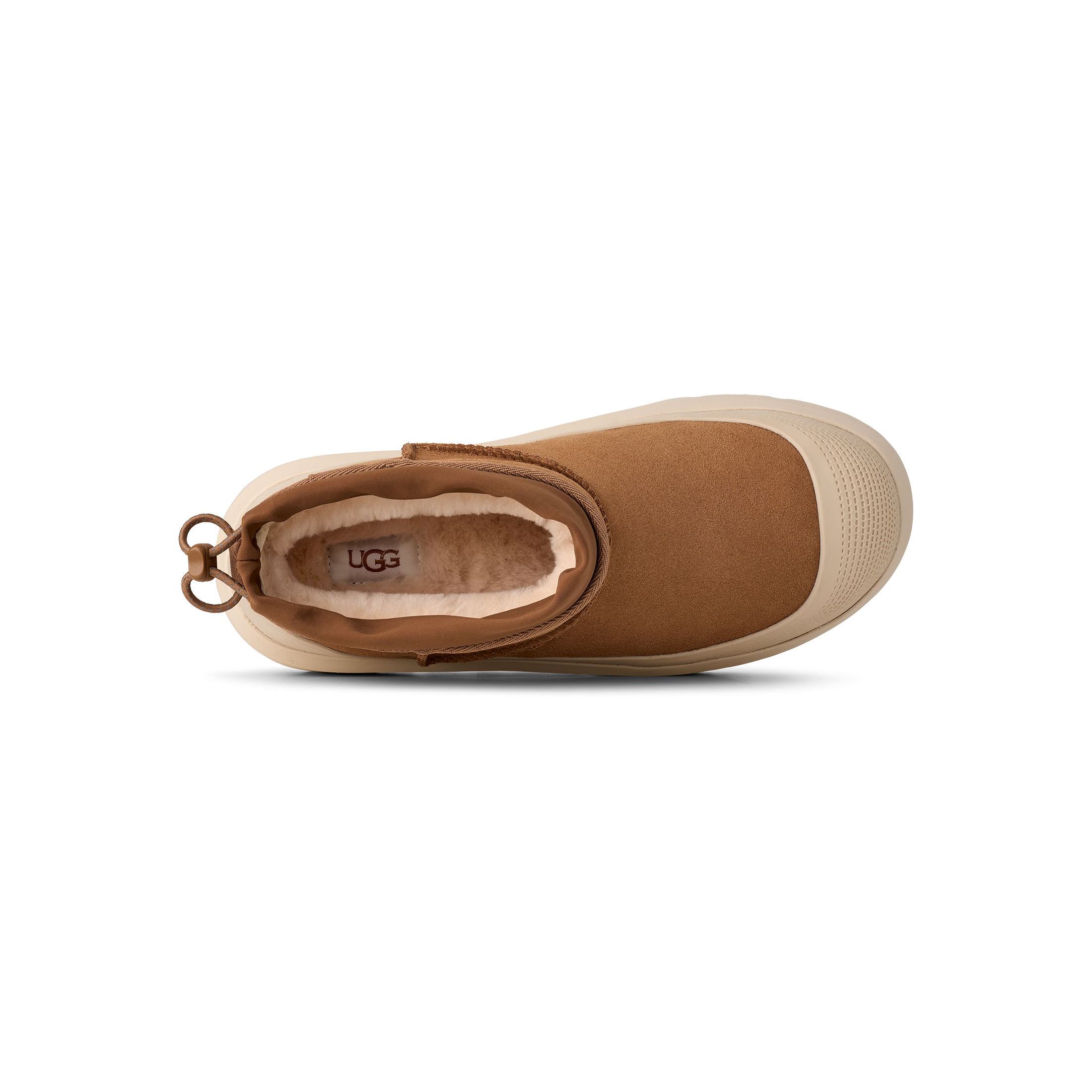 #color_chestnut-whitecap
