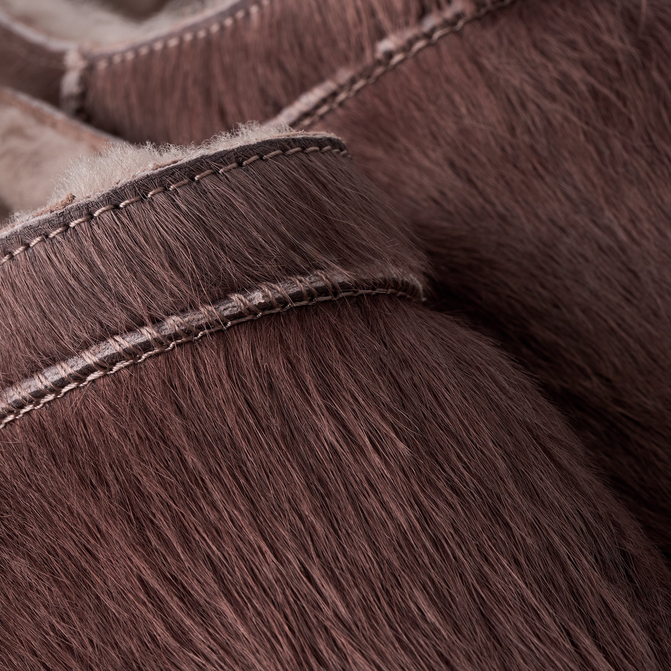 #color_caribou