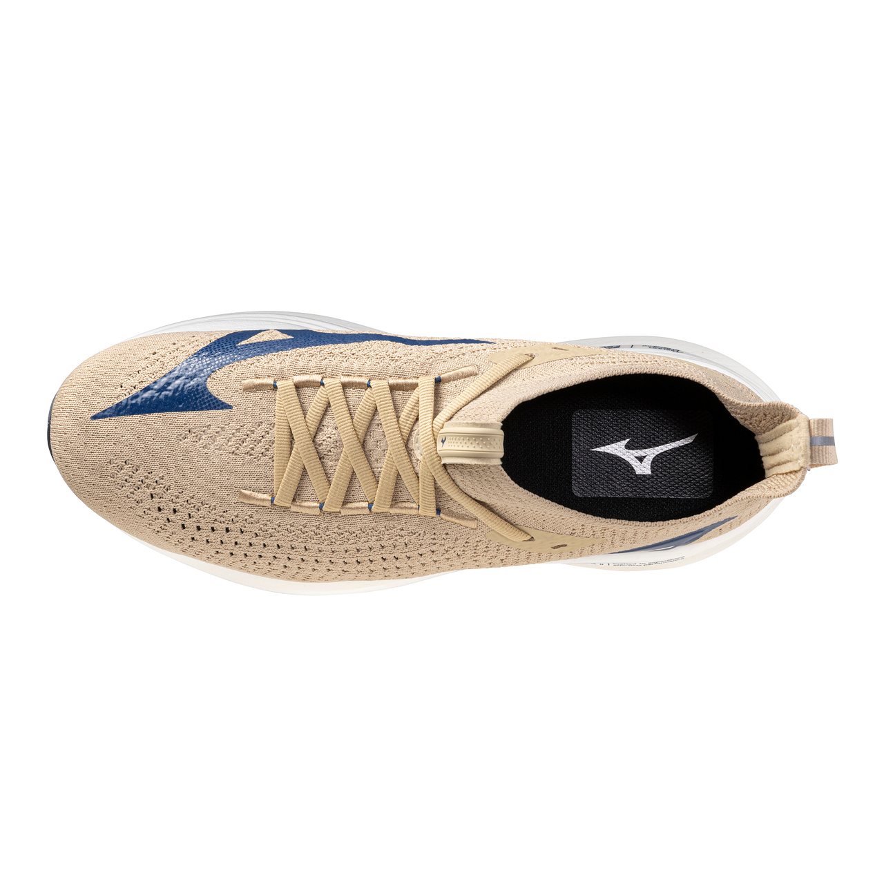 #color_pale-khaki-white