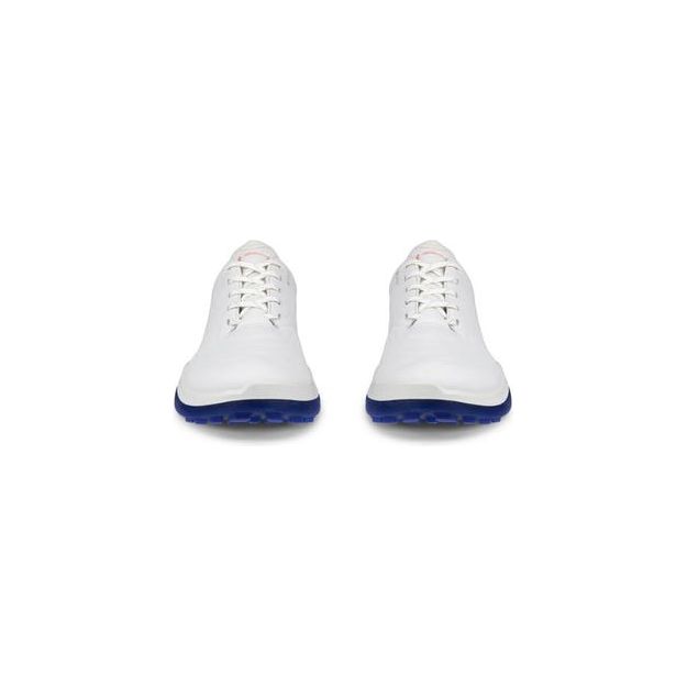 #color_white-blue
