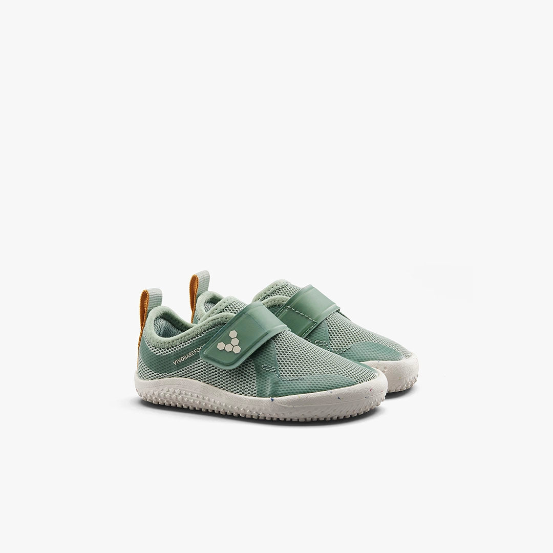 #color_glacial-green