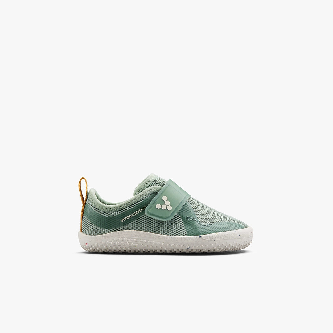 #color_glacial-green