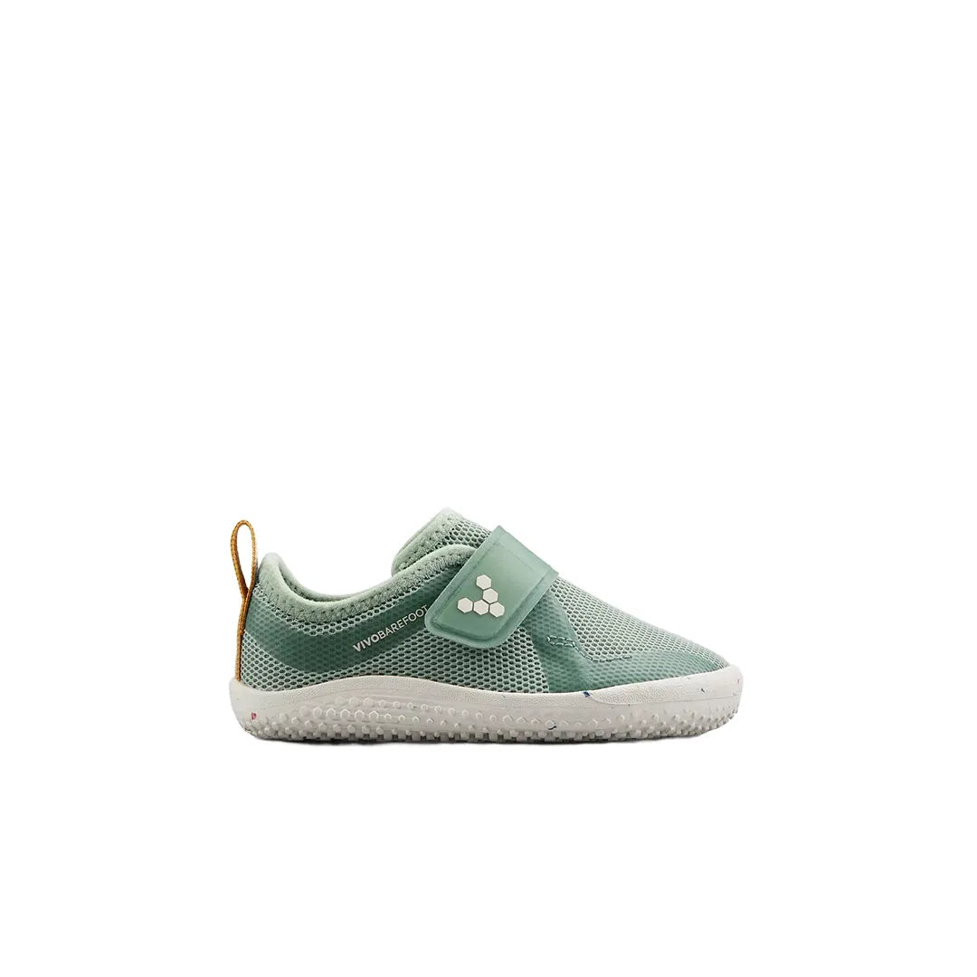 #color_glacial-green