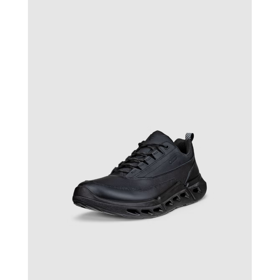 ECCO Men's Biom 720 Leather Gore-Tex Trainer