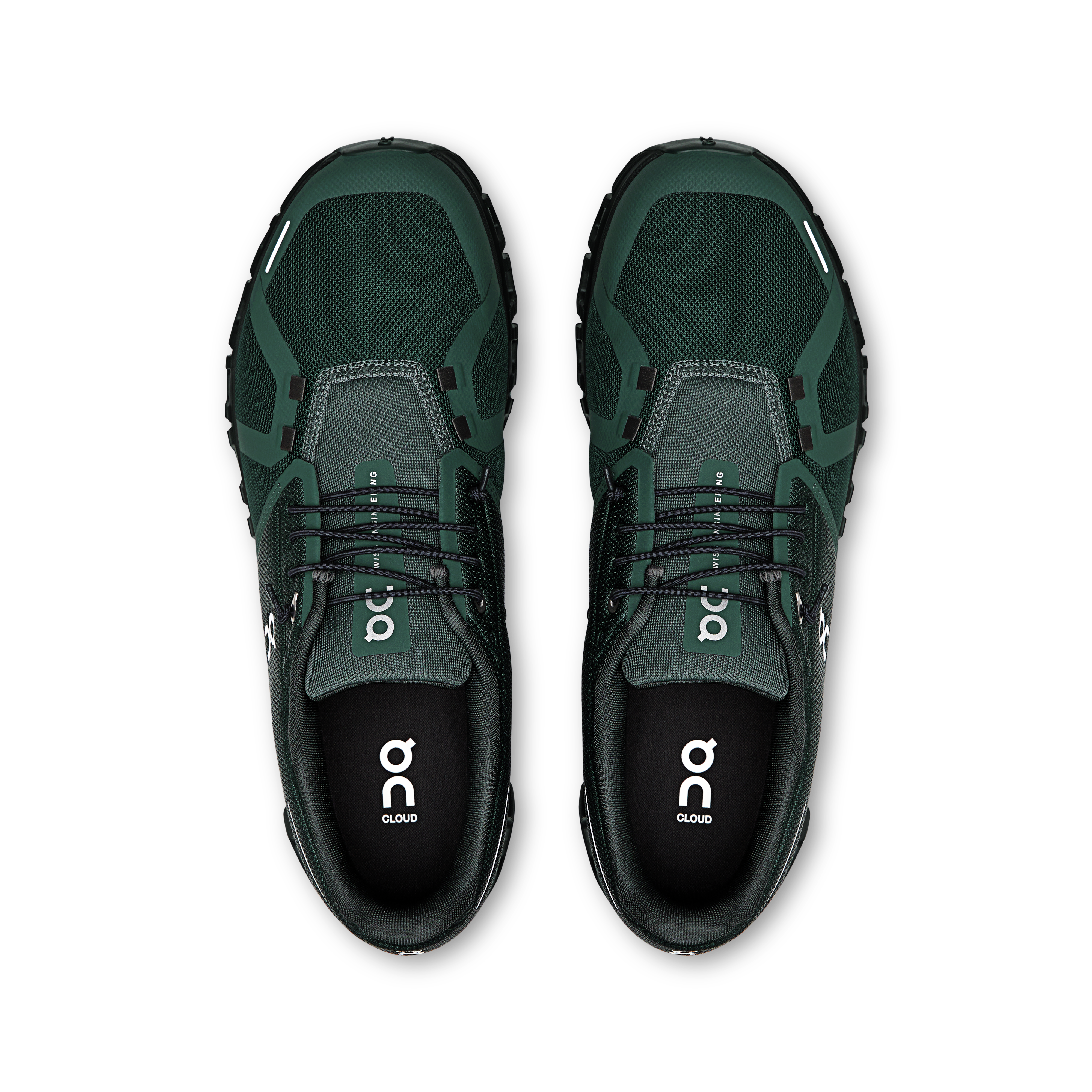 #color_evergreen-black