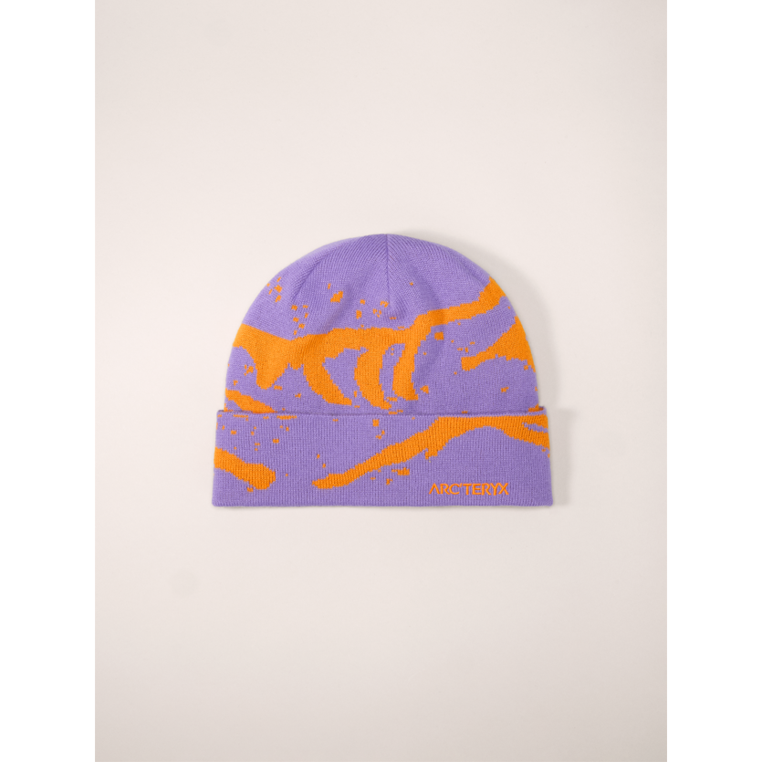#color_aster-blaze