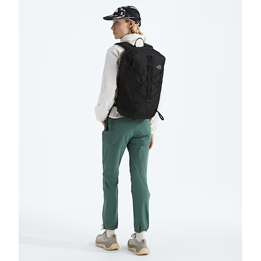 #color_tnf-black