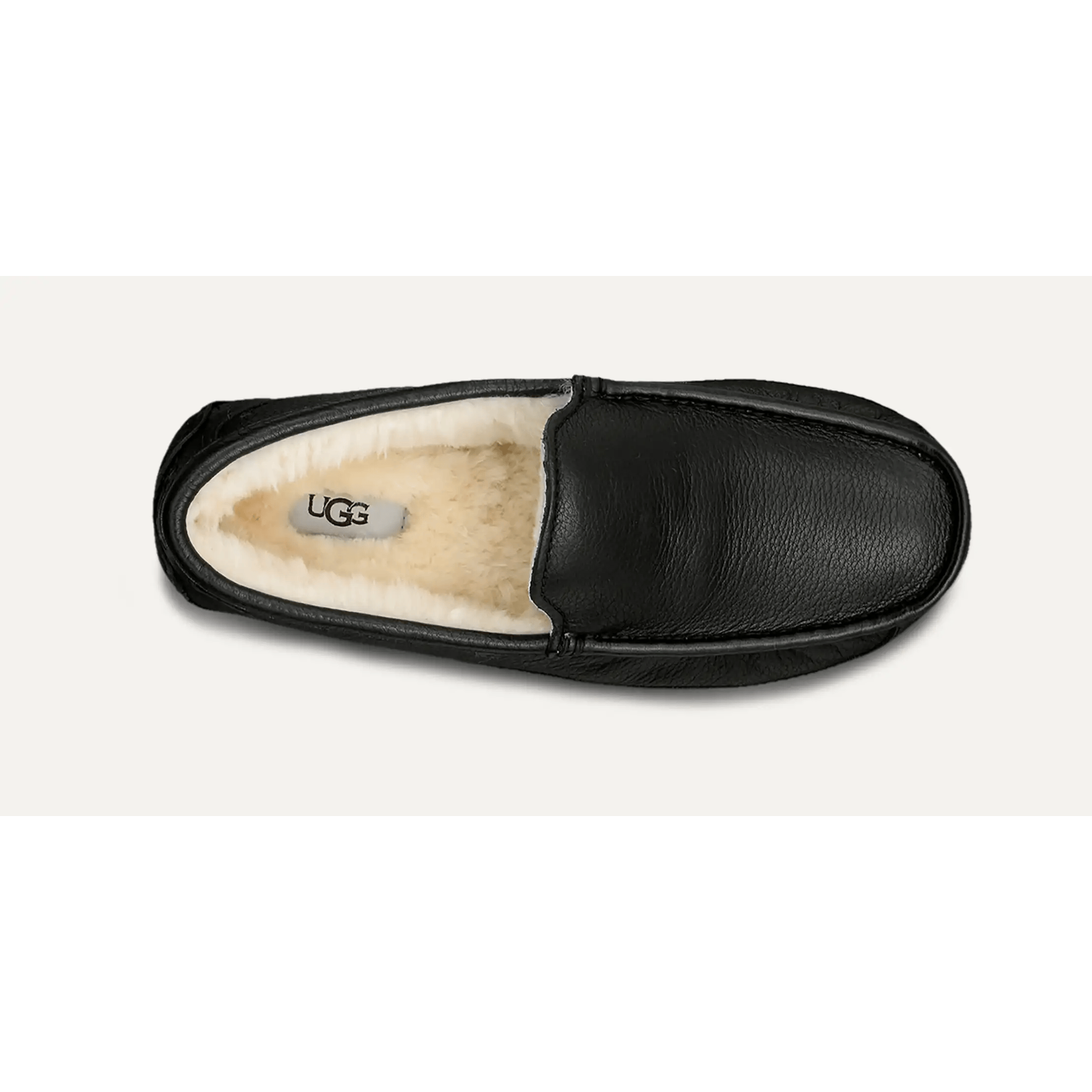 UGG Men's Ascot Wide in Black