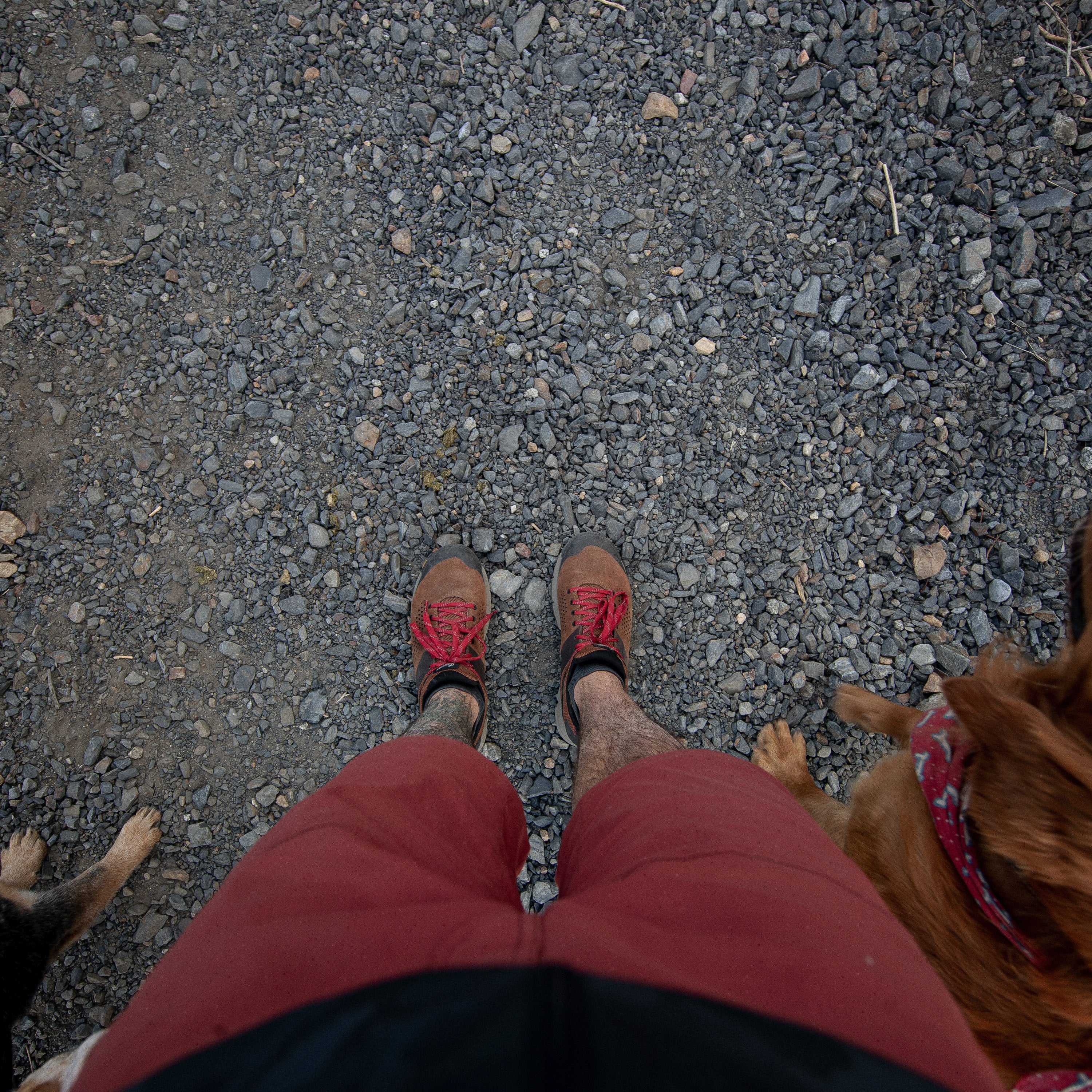 #color_brown-red