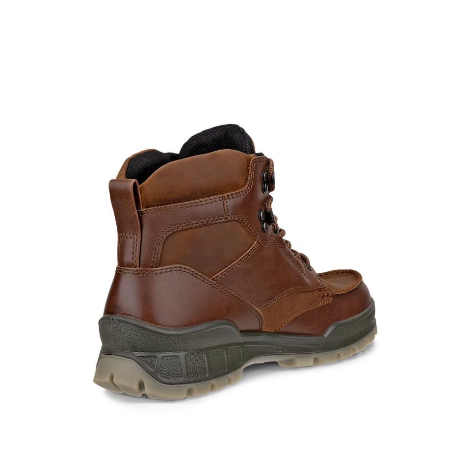 ECCO Men's Track 25 Leather Gore-Tex Mid-Cut Boot | Bison