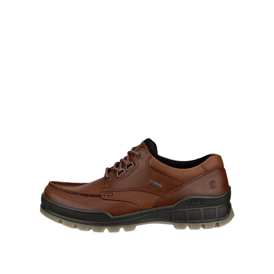 ECCO Men's Track 25 Leather Gore-Tex Shoe in Bison