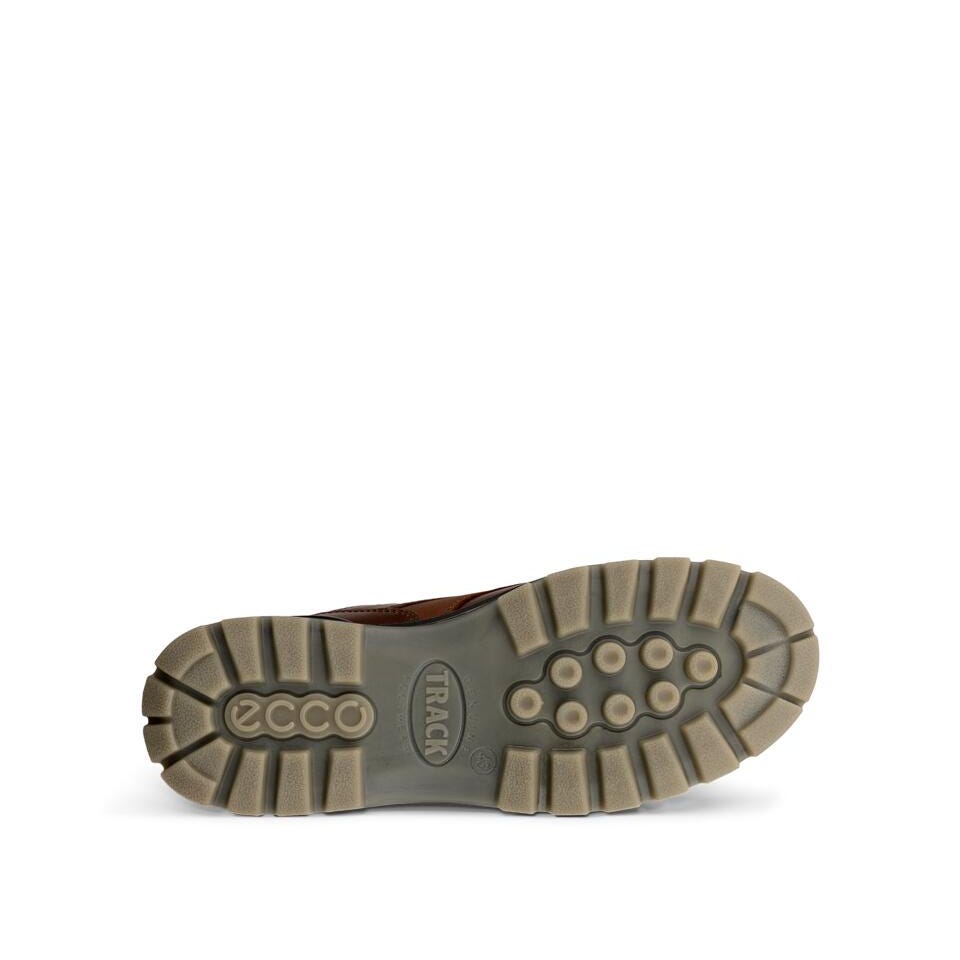 ECCO Men's Track 25 Leather Gore-Tex Shoe | Bison