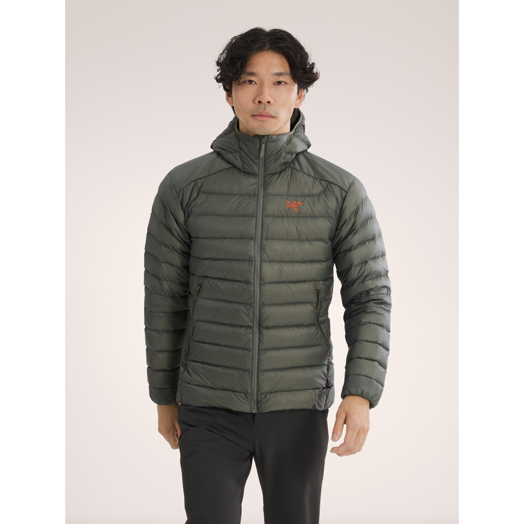 Arc'teryx Men's Cerium Hoody Arc'teryx Men's Cerium Hoody