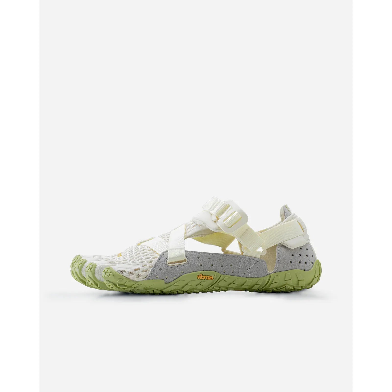 #color_ivory-green
