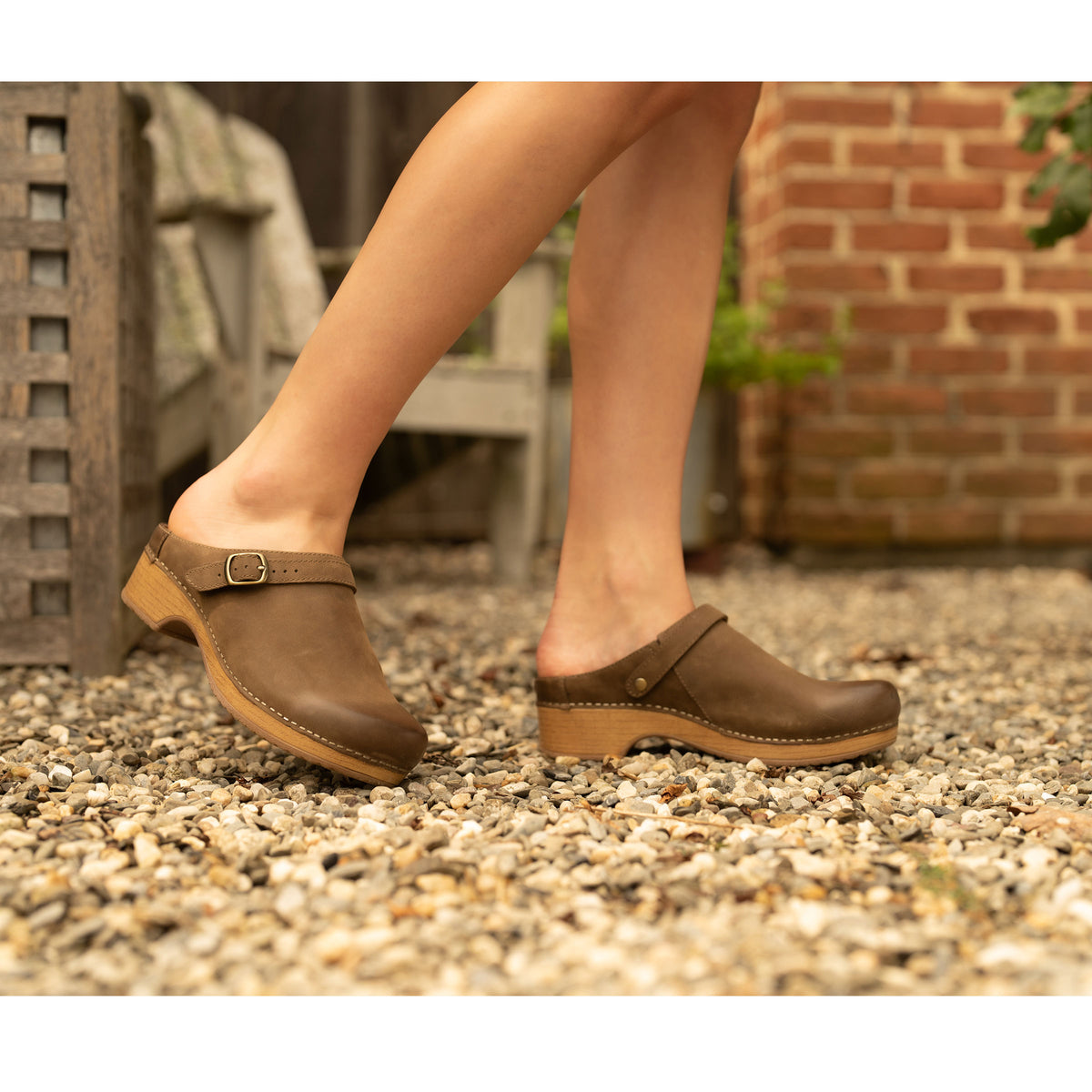 Dansko Women's Berry in Mushroom Burnished Nubuck Mule Women's Footwear