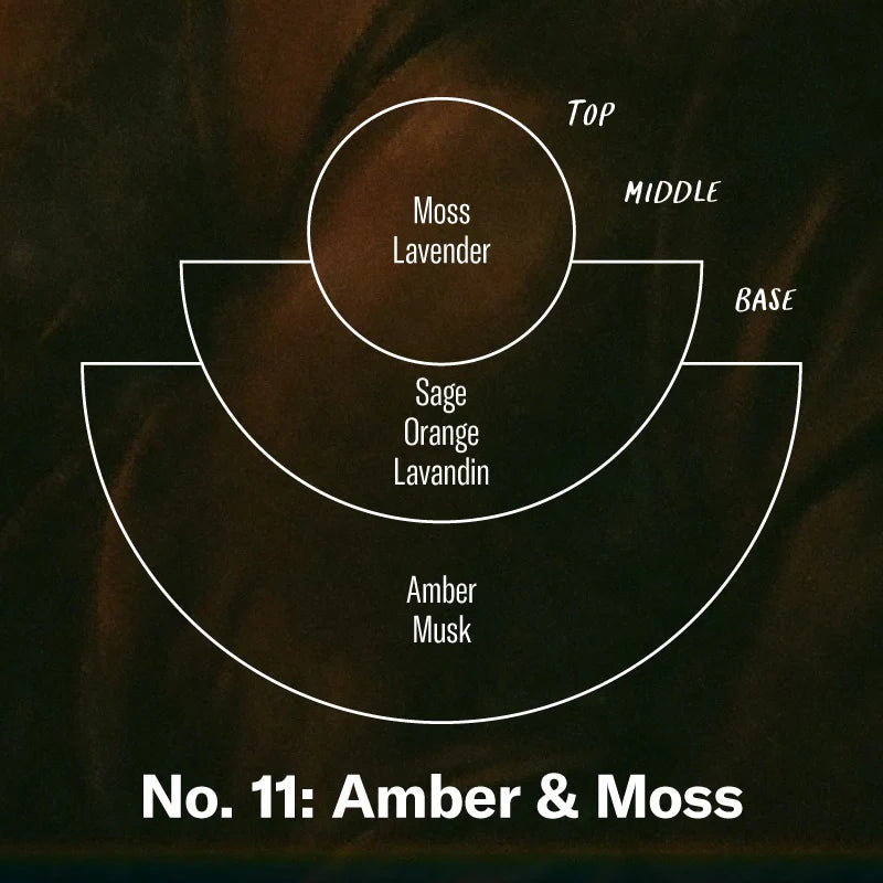 P. F. Candle Co. 7.2oz Amber & Moss Standard Candle Accessories
