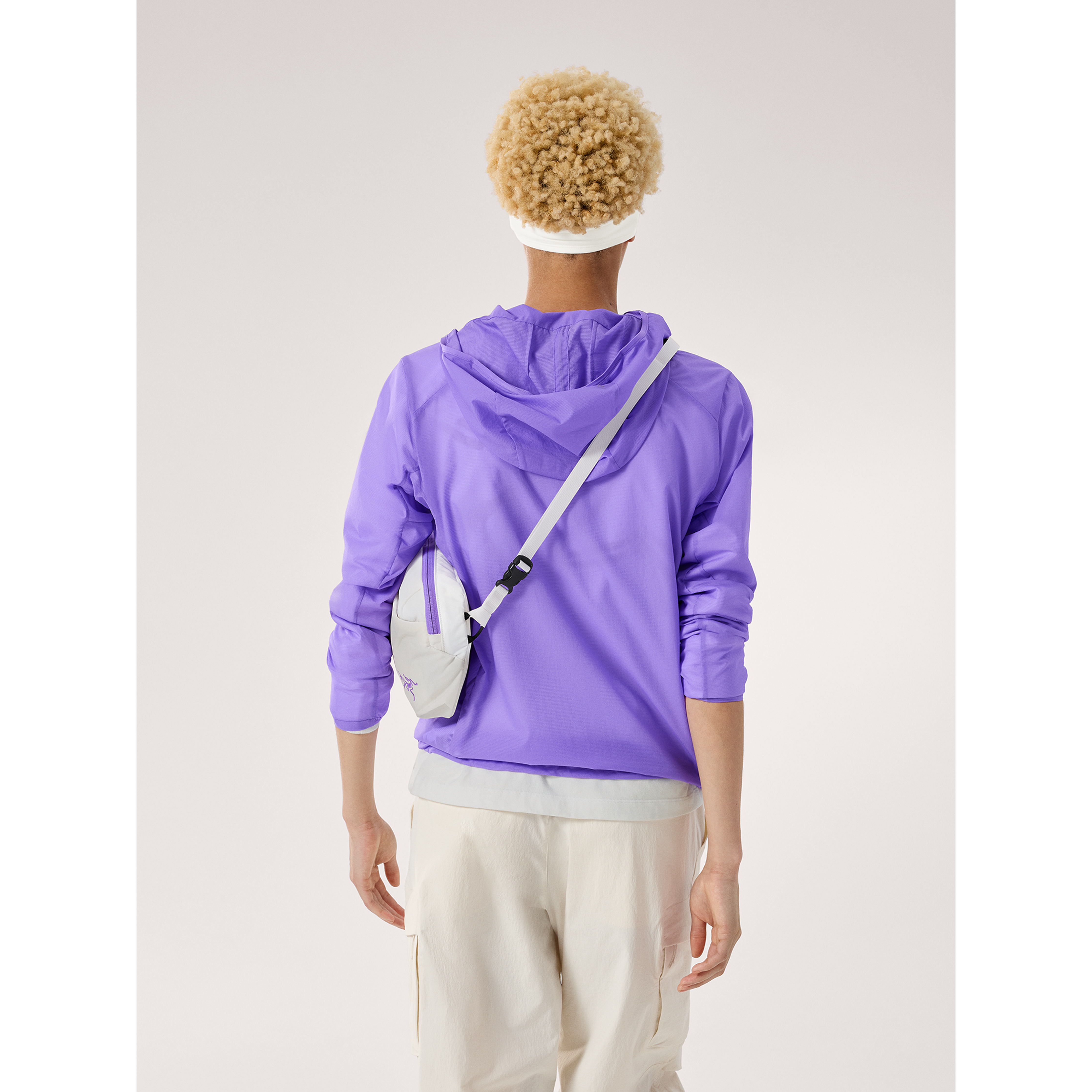 #color_arctic-silk-aster