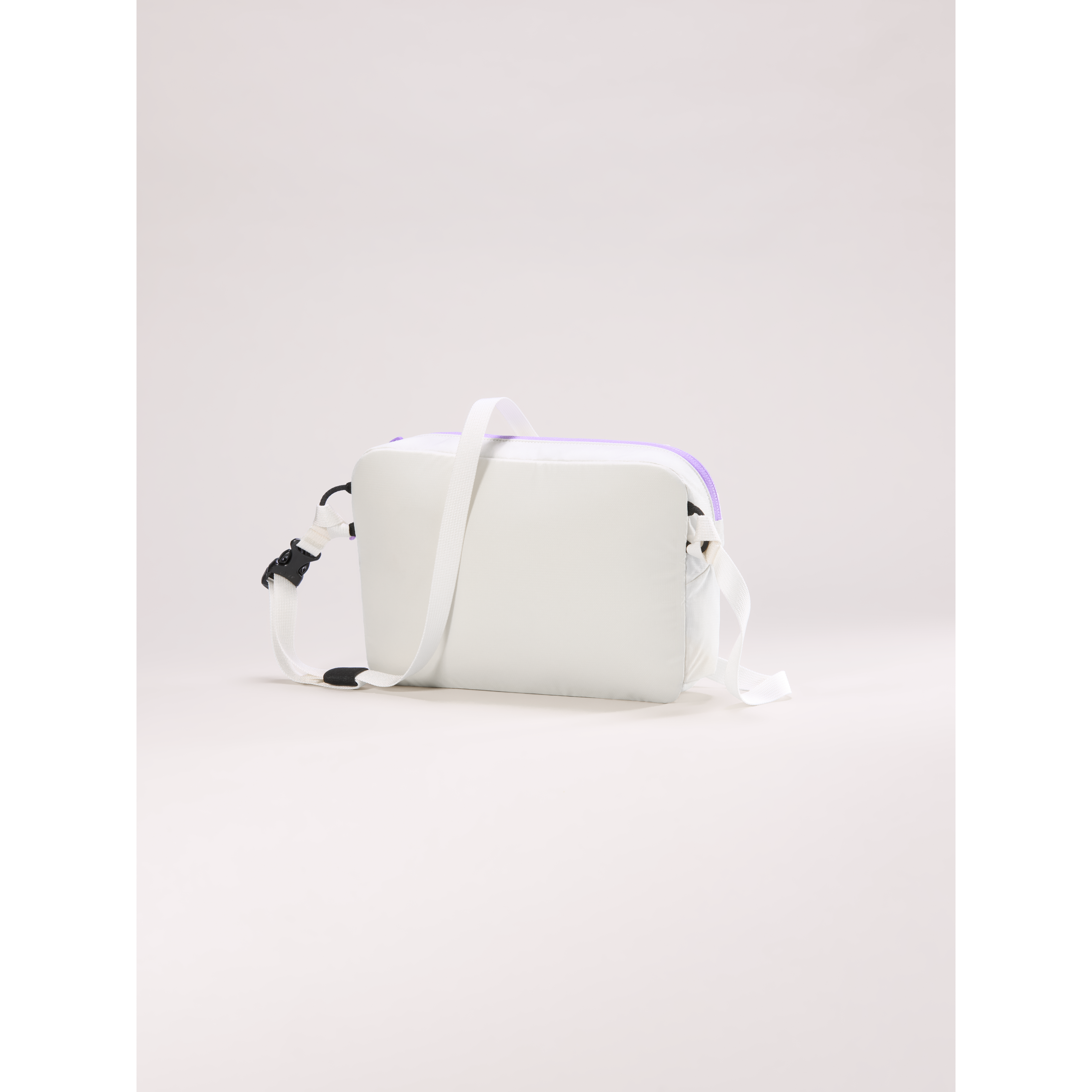 #color_arctic-silk-aster