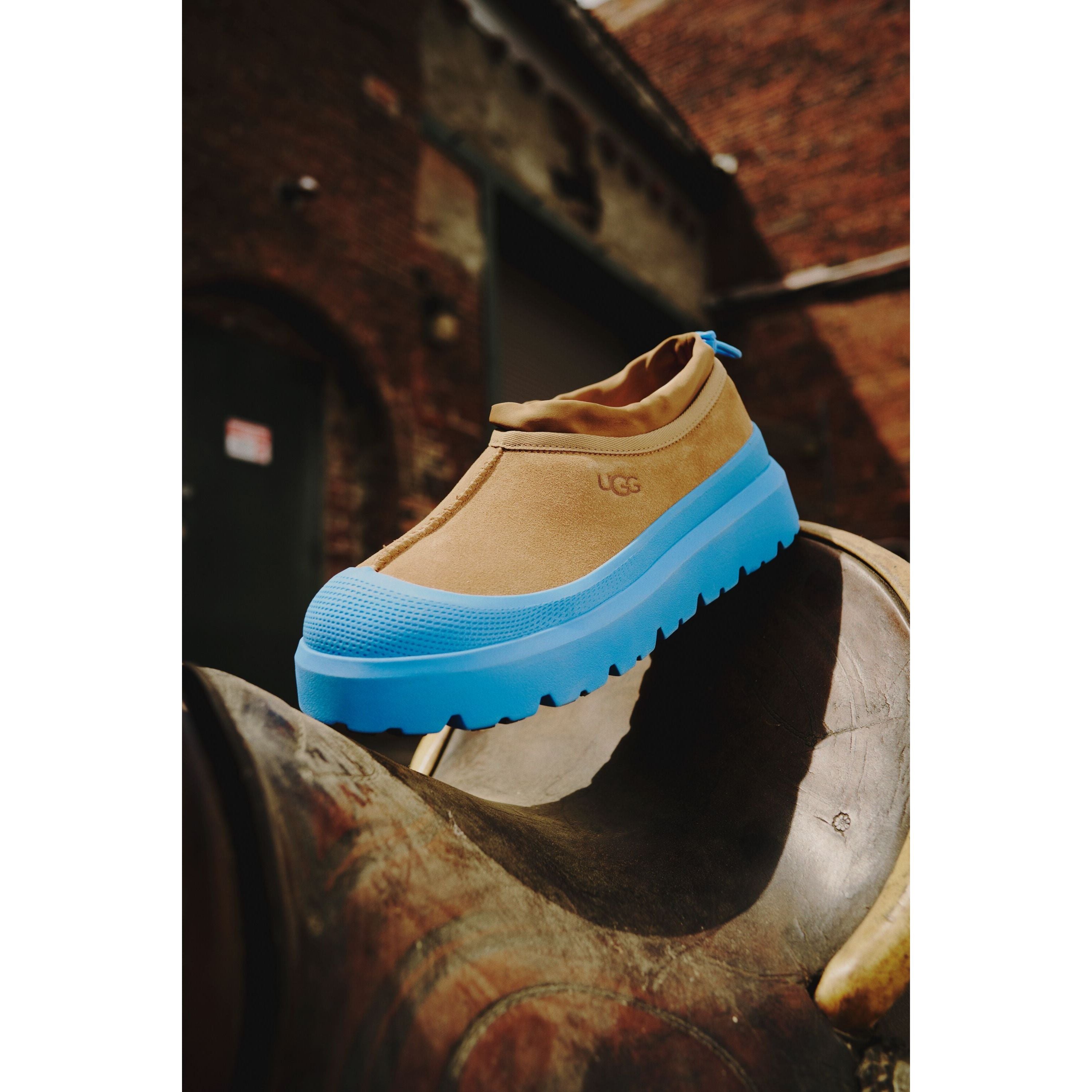 UGG All Gender Tasman Weather Hybrid in Chestnut Big Sky Men's Footwear