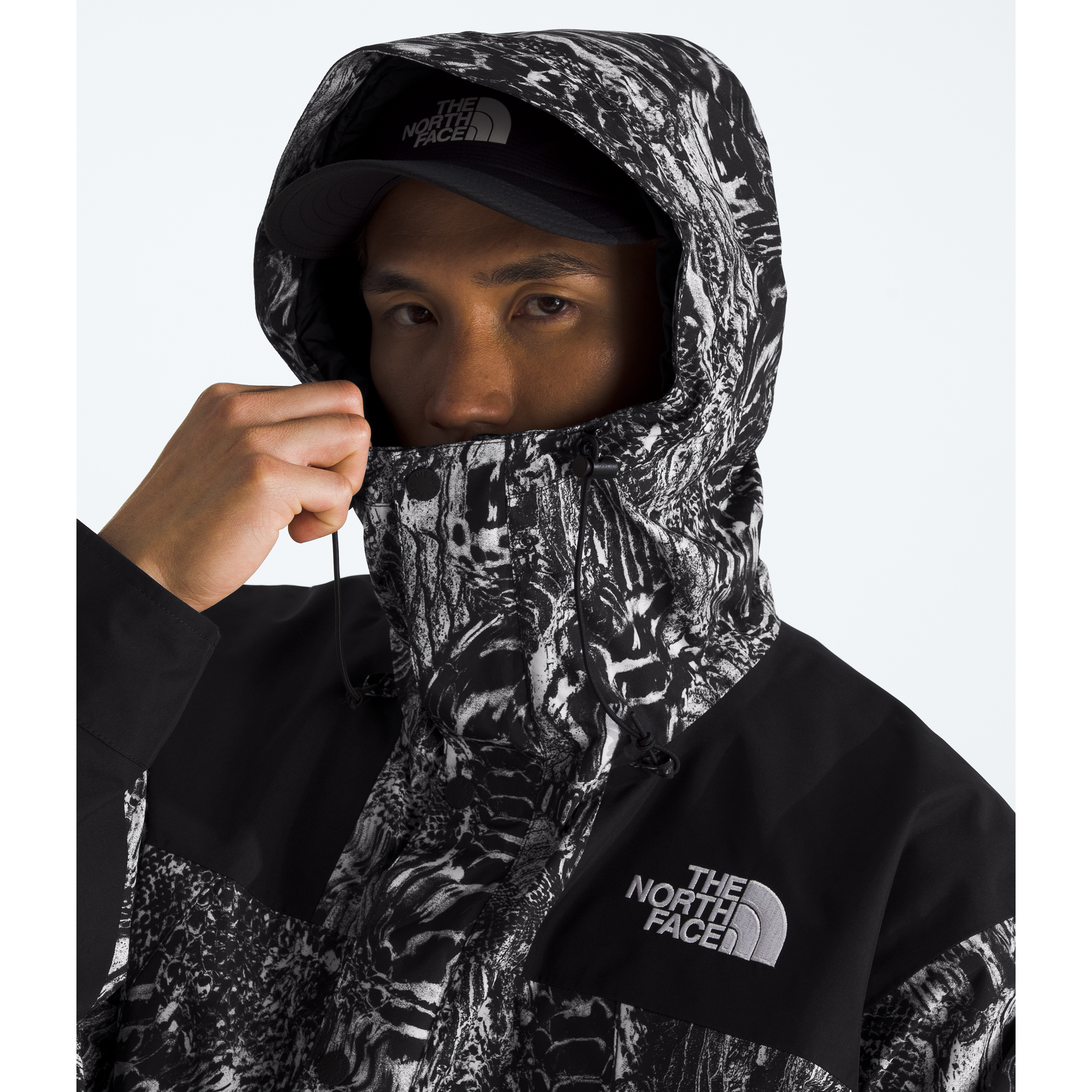 #color_tnf-black-wood