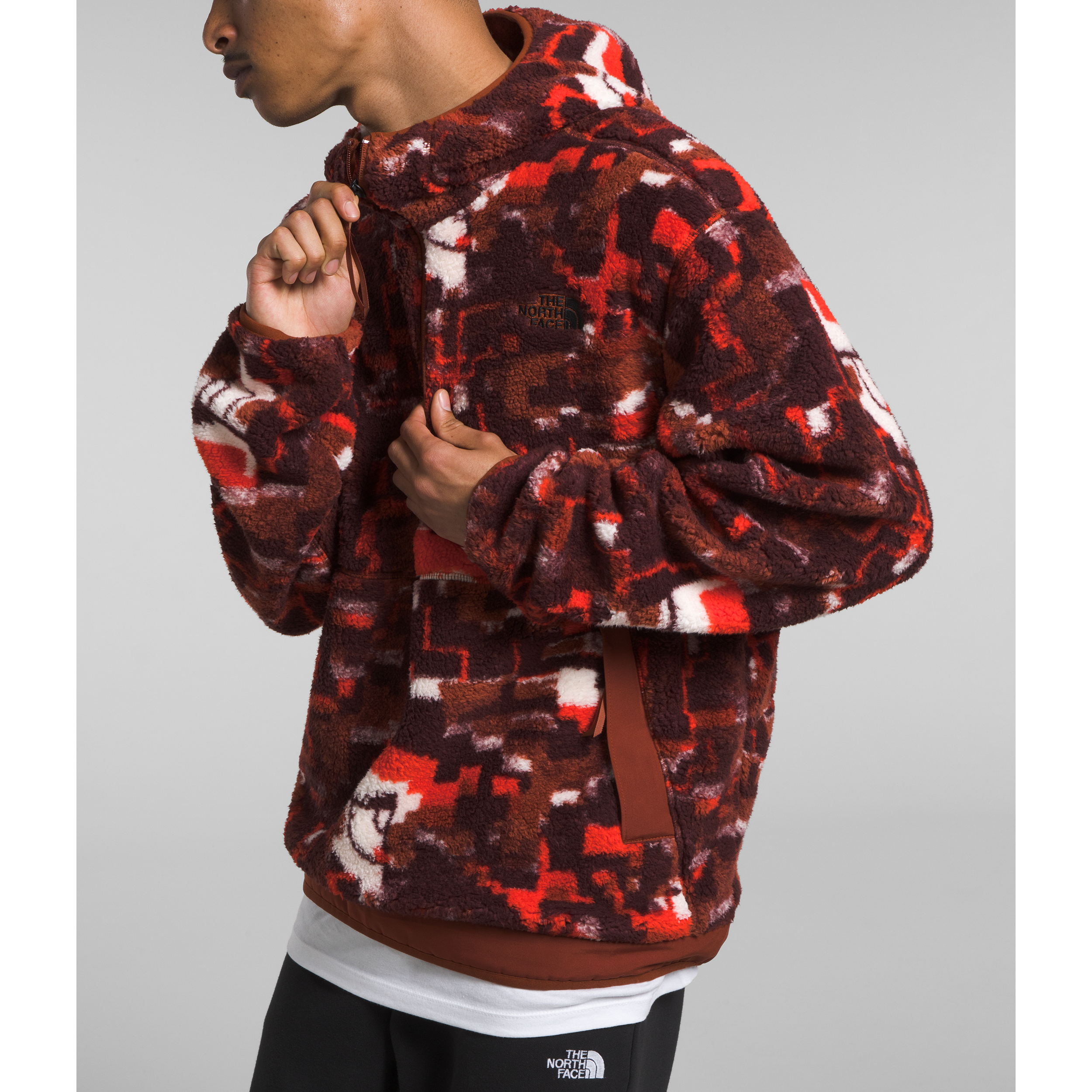 The North Face Men's Campshire Fleece Hoodie in Fiery Red Digital Half Dome Print Men's Apparel