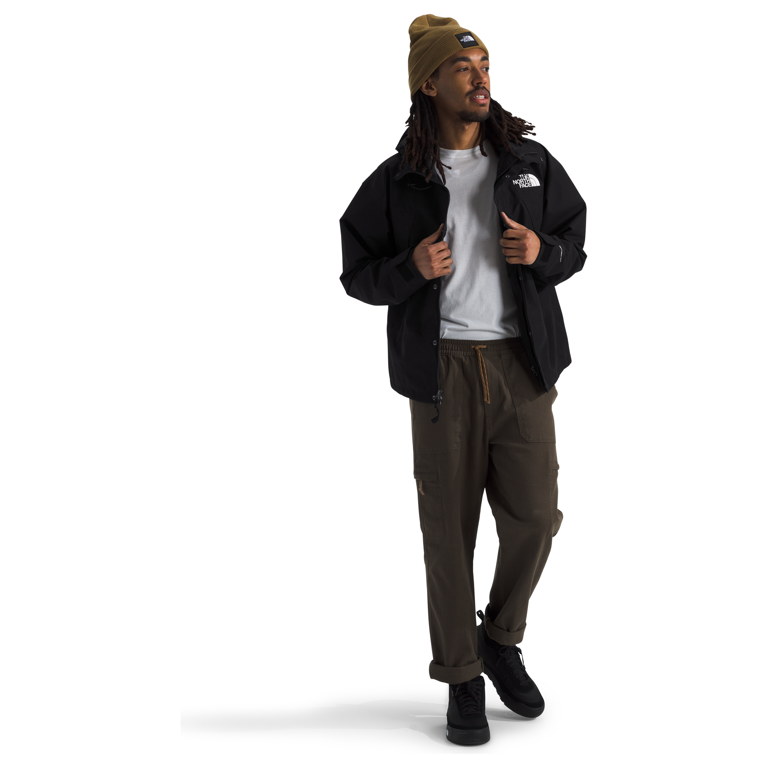 #color_tnf-black