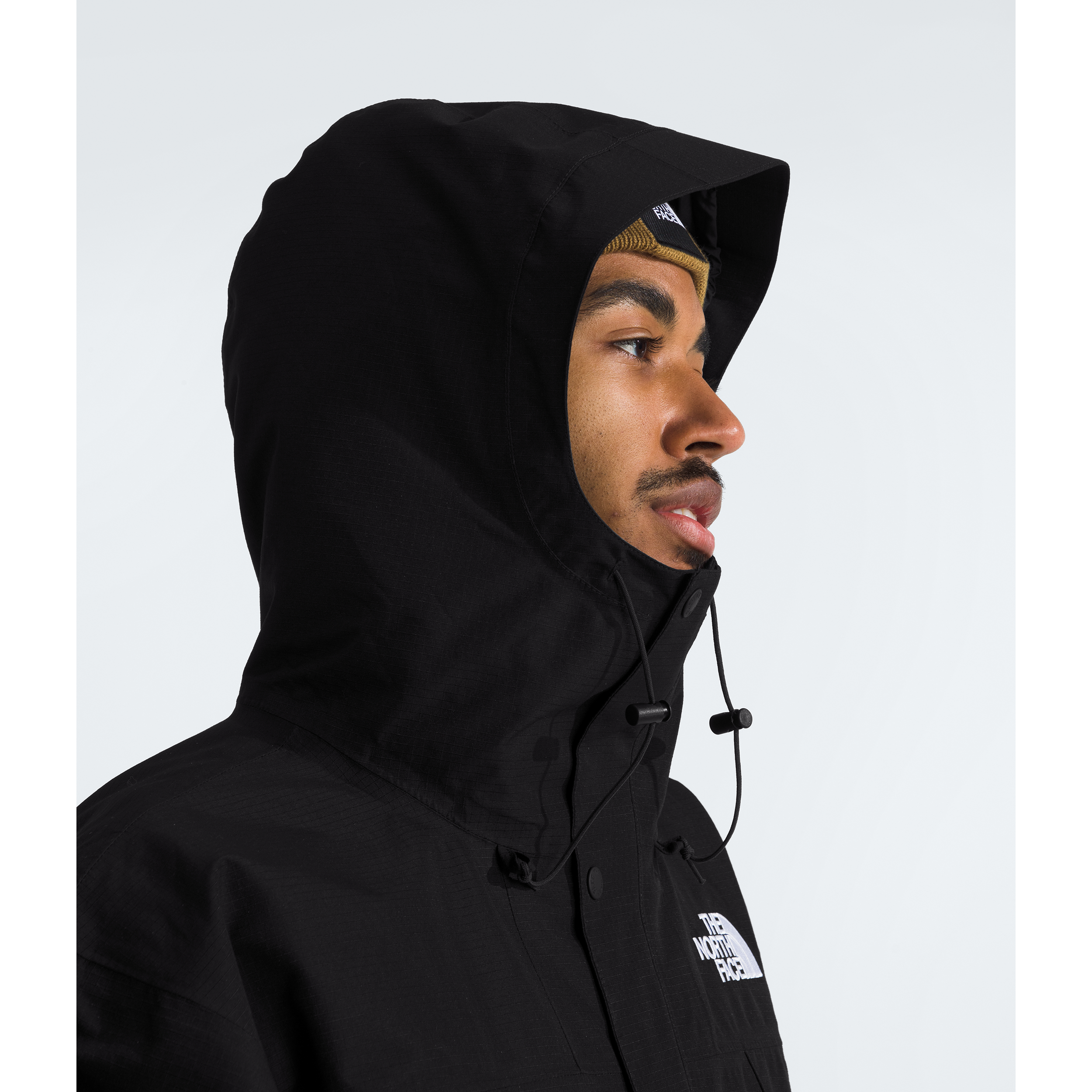 #color_tnf-black