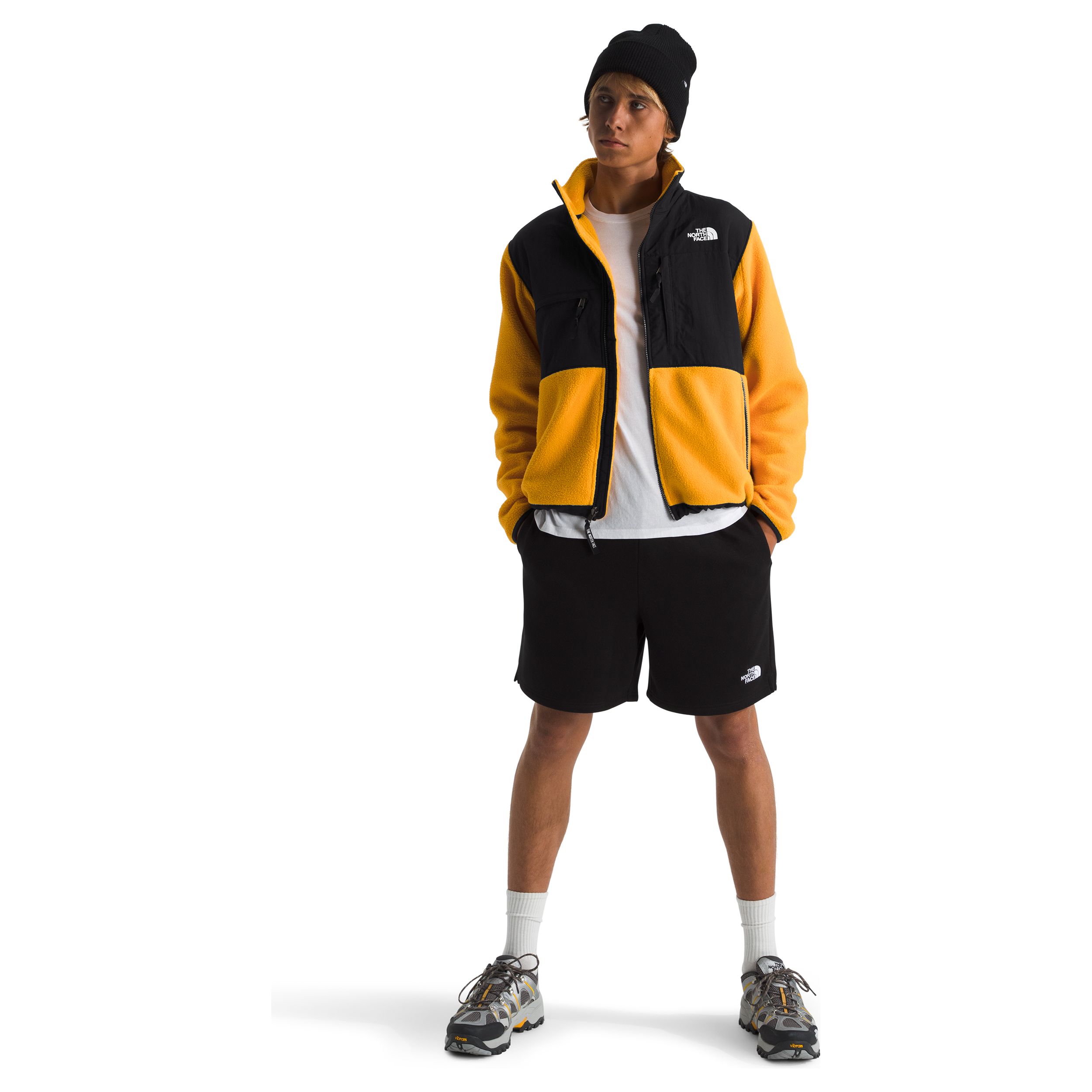 #color_summit-gold-tnf-black