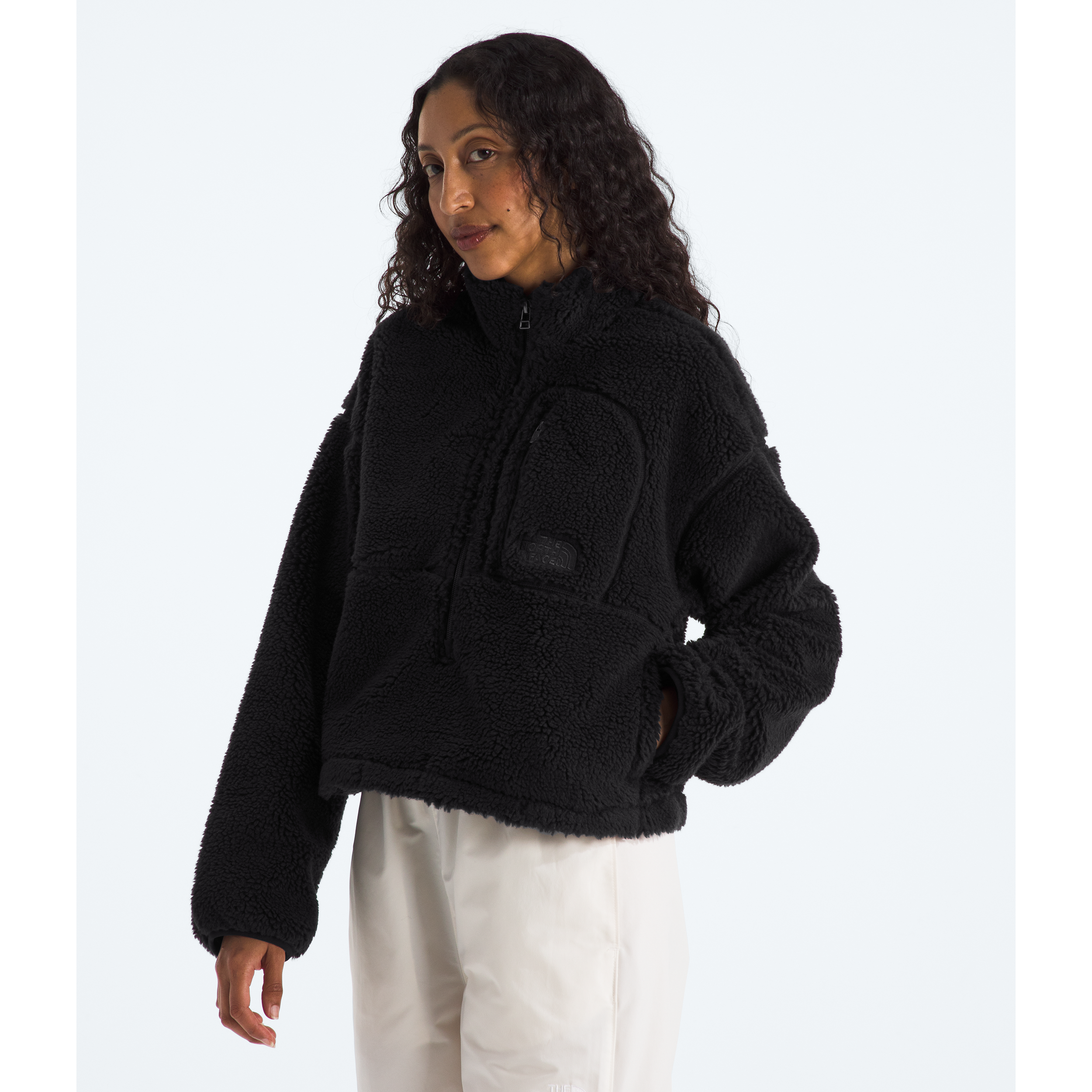 #color_tnf-black
