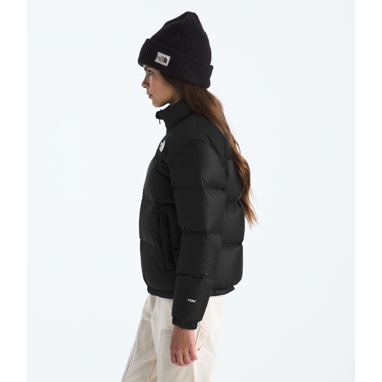 #color_tnf-black-tnf-black-recycled-down