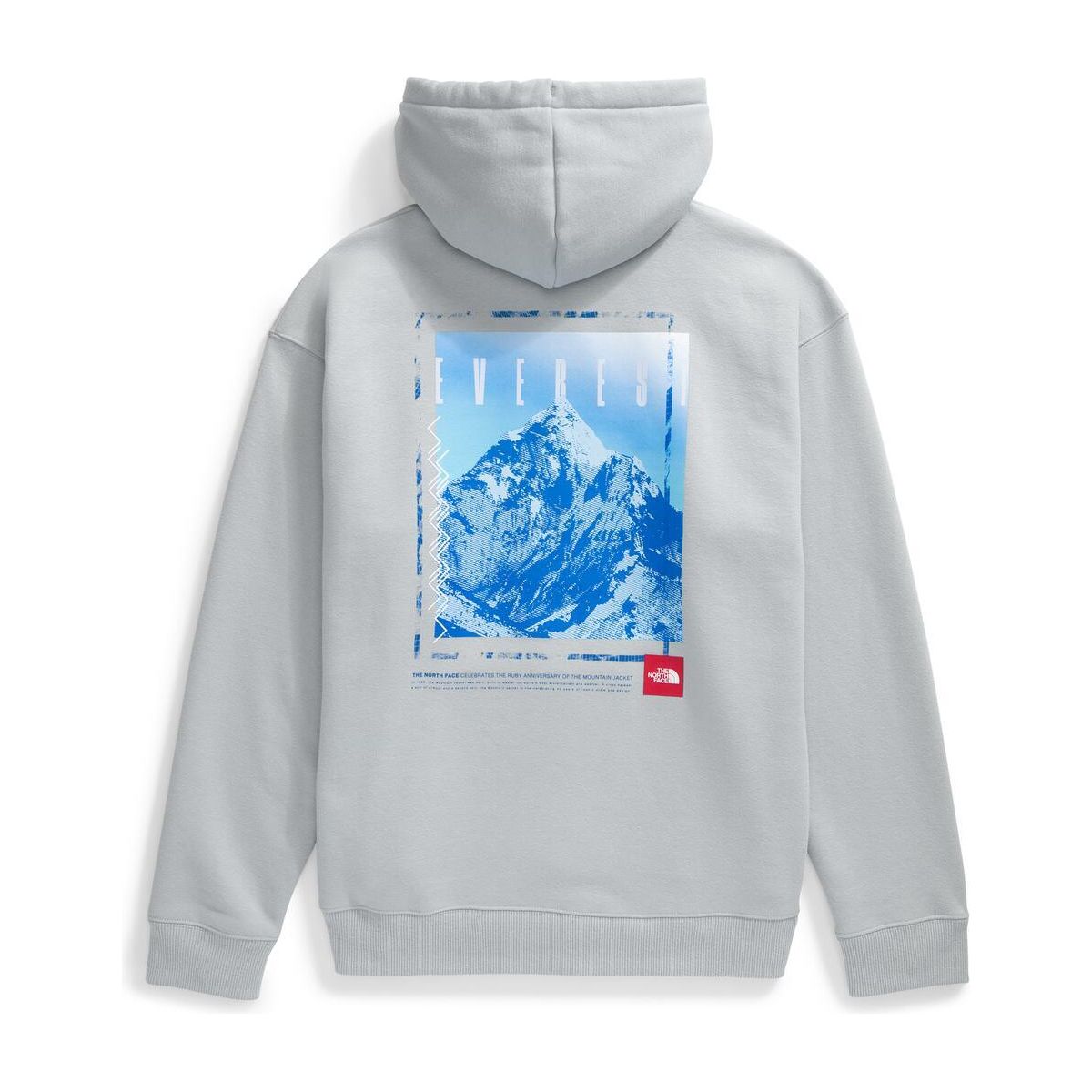 The North Face Men's Red Box Everest Heavyweight Hoodie-Footprint USA