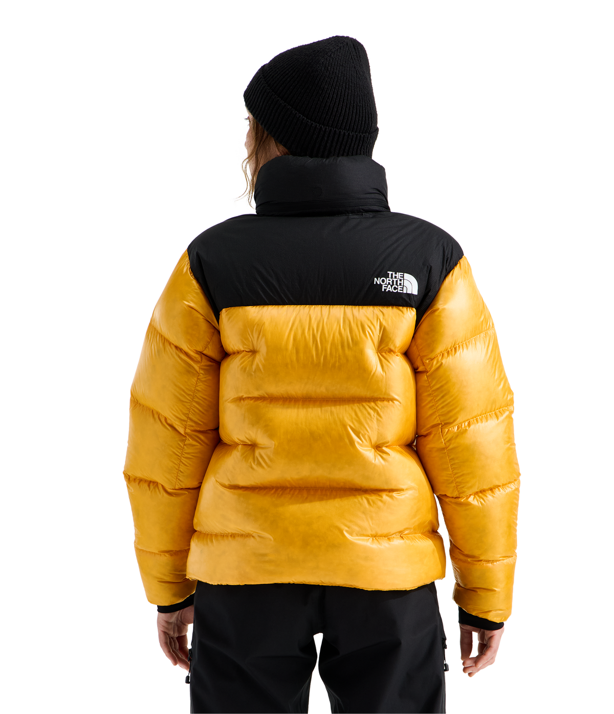 #color_summit-gold-tnf-black