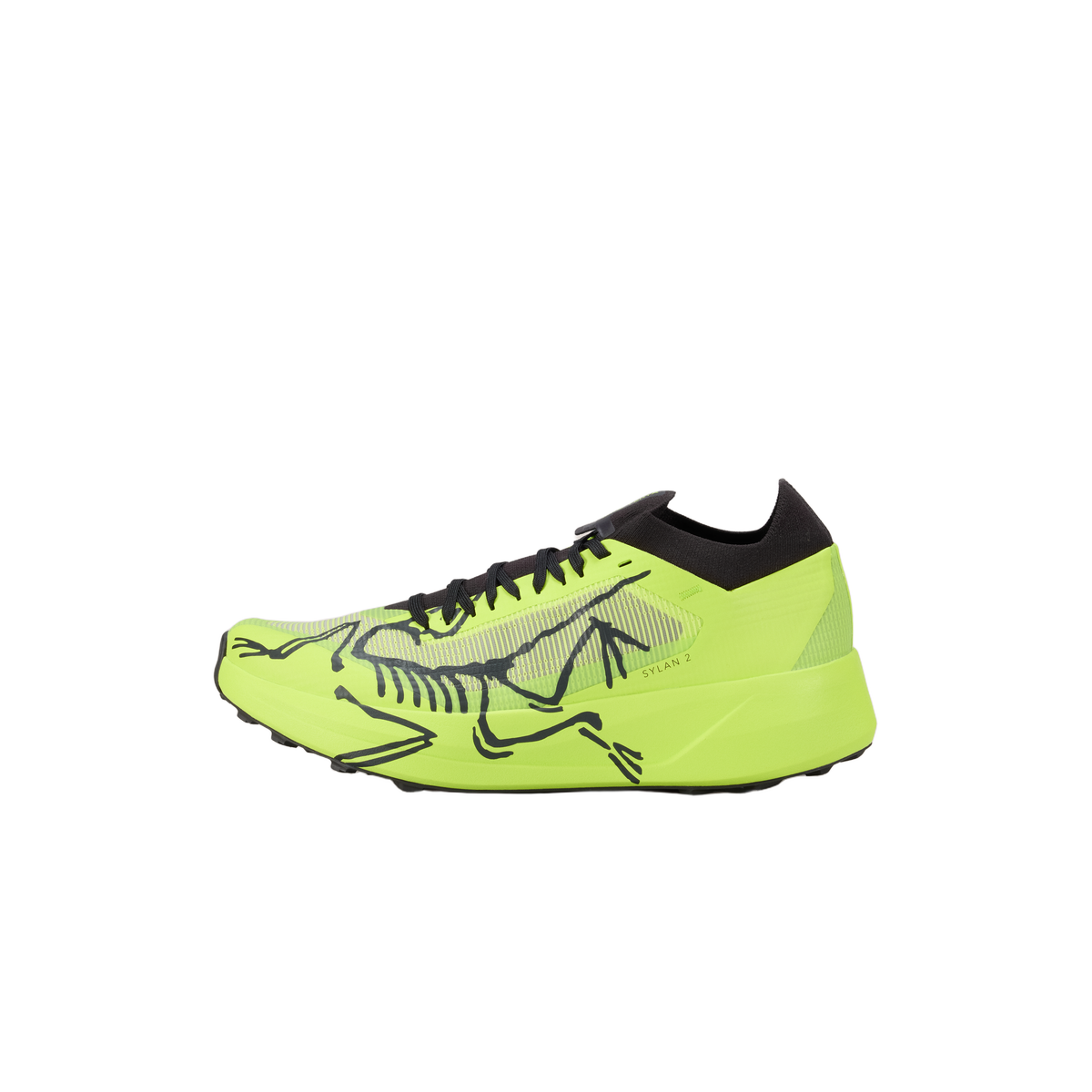 #color_mantis-mantis