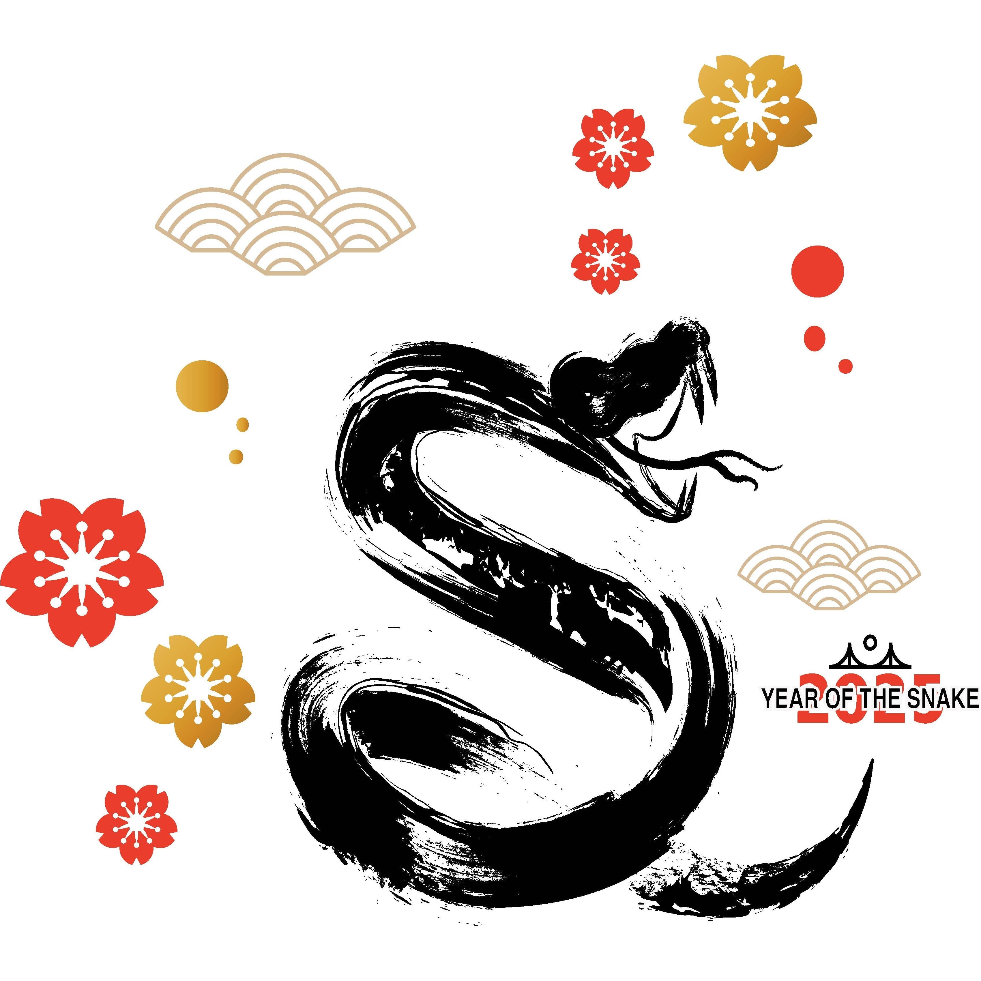 Year of the Snake 2025 Limited Edition T-Shirt – 100% of Proceeds Donated to LA Fire Relief-Footprint USA