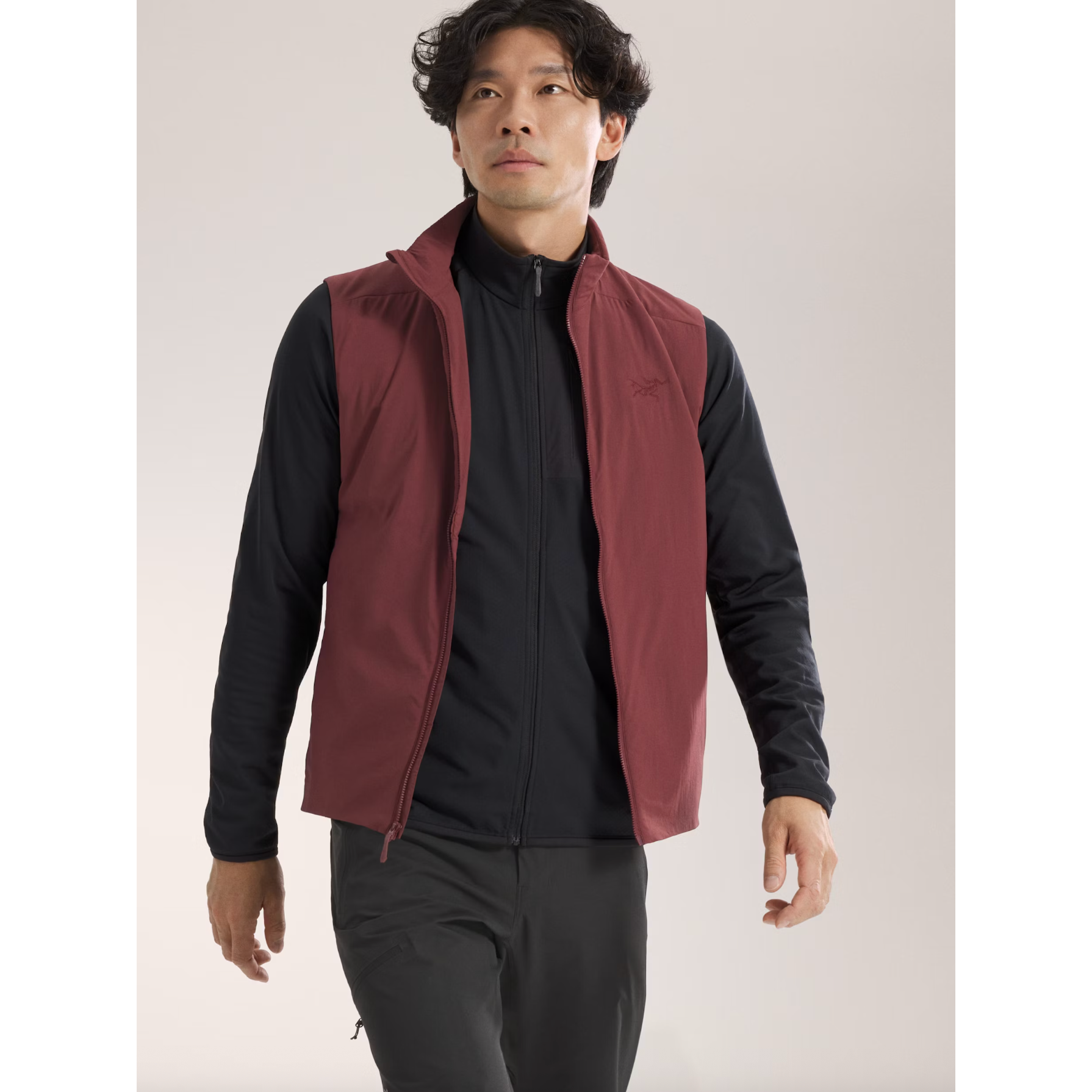Arc'teryx Men's Atom Vest | Mars