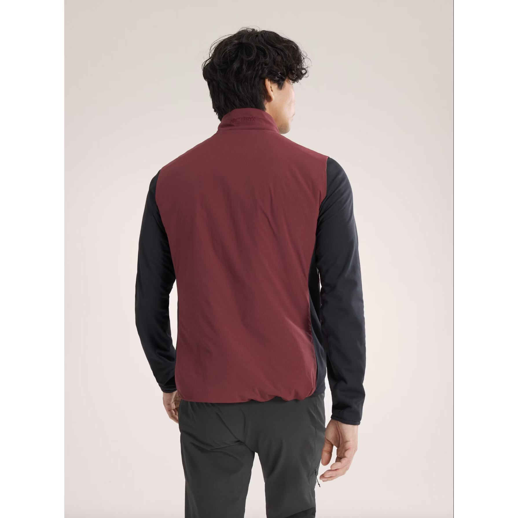 Arc'teryx Men's Atom Vest | Mars