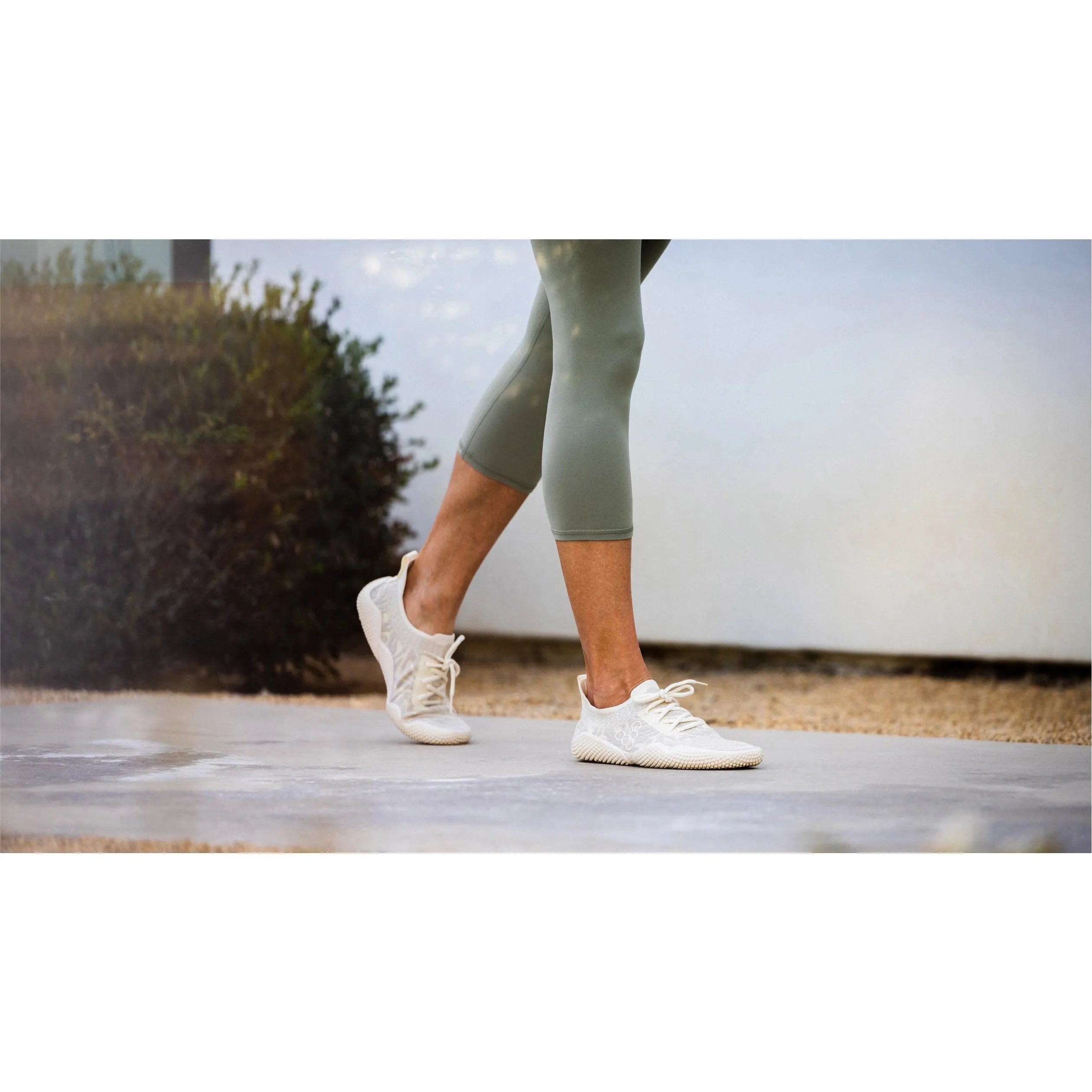 #color_arctic-wolf