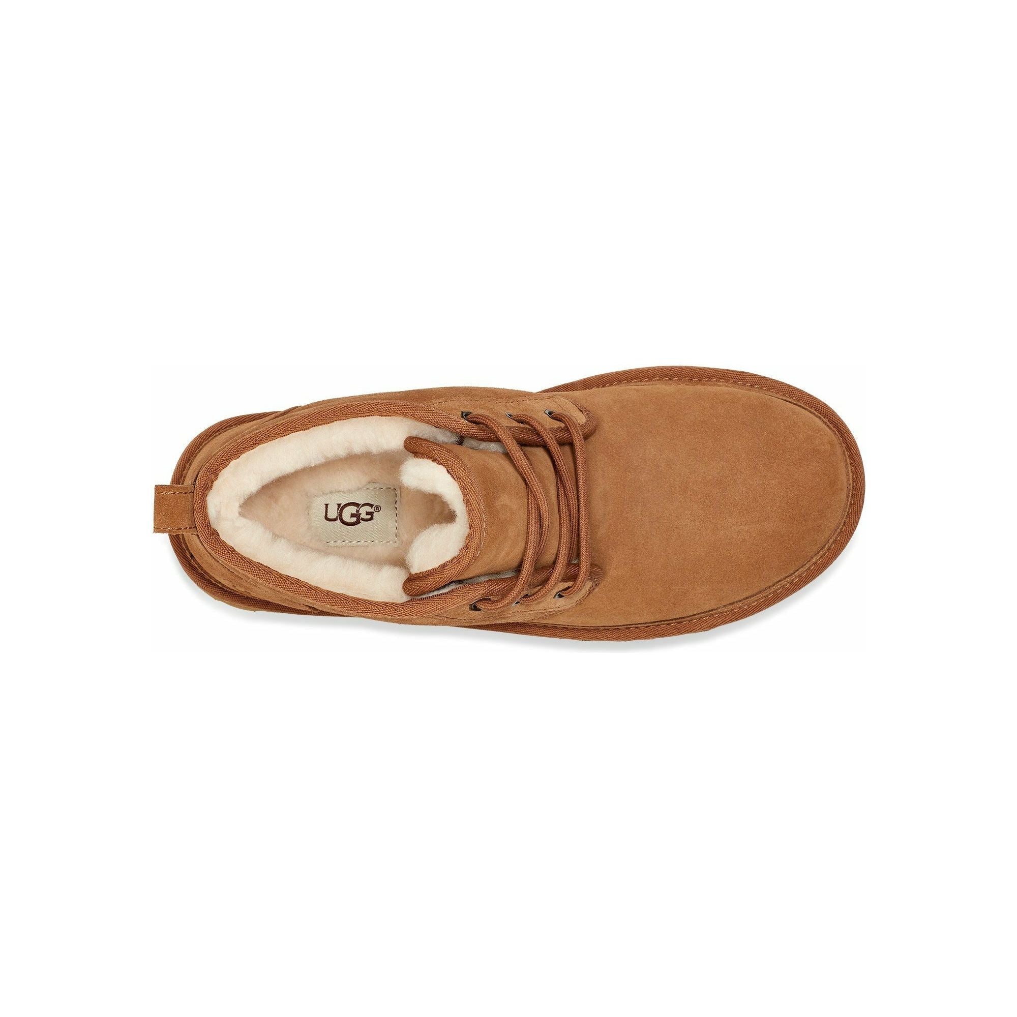 UGG Men's Neumel Boot in Chestnut Men's Footwear