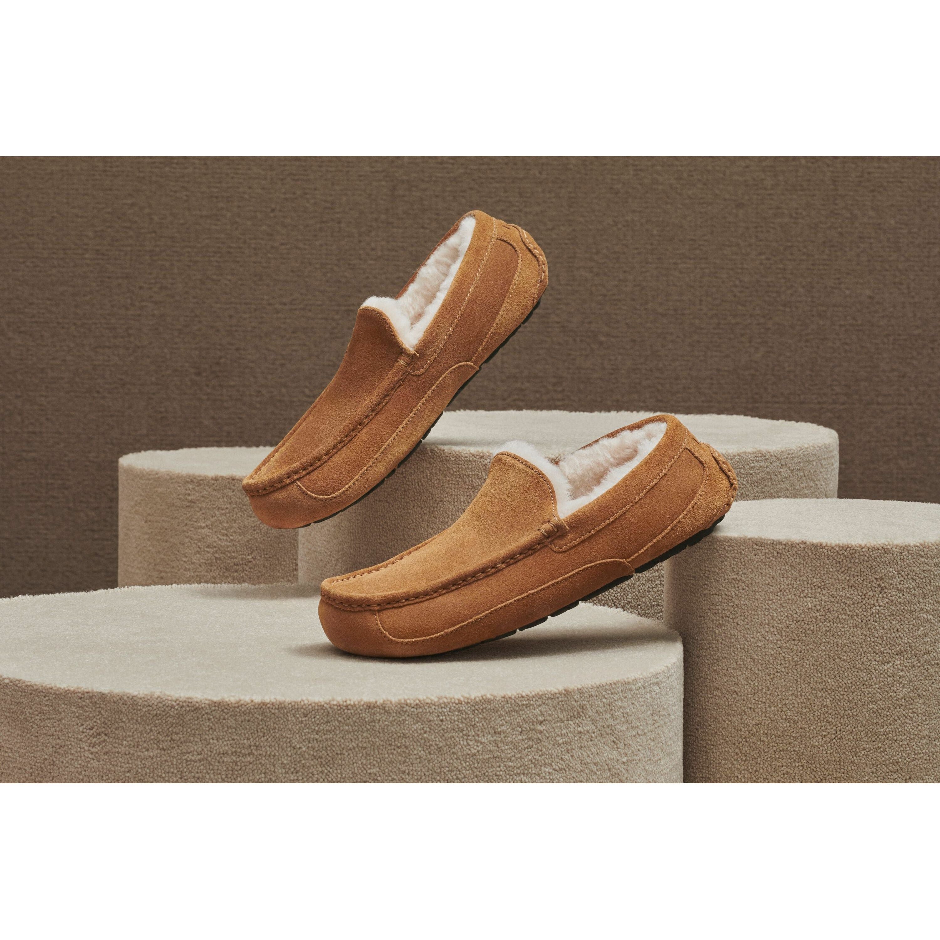 UGG Men's Ascot Slipper in Chestnut Men's Footwear