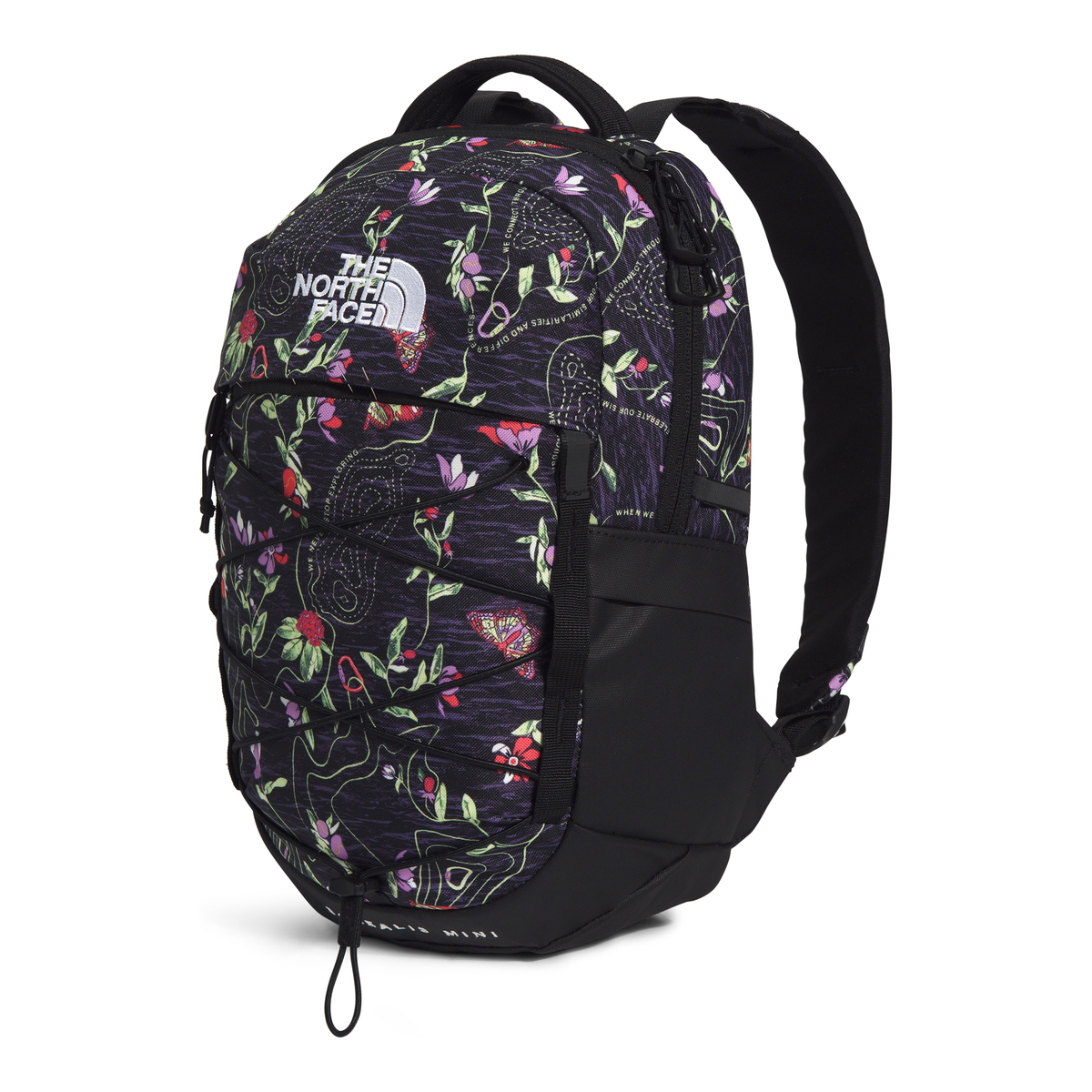 Monogram North Face Backpack 